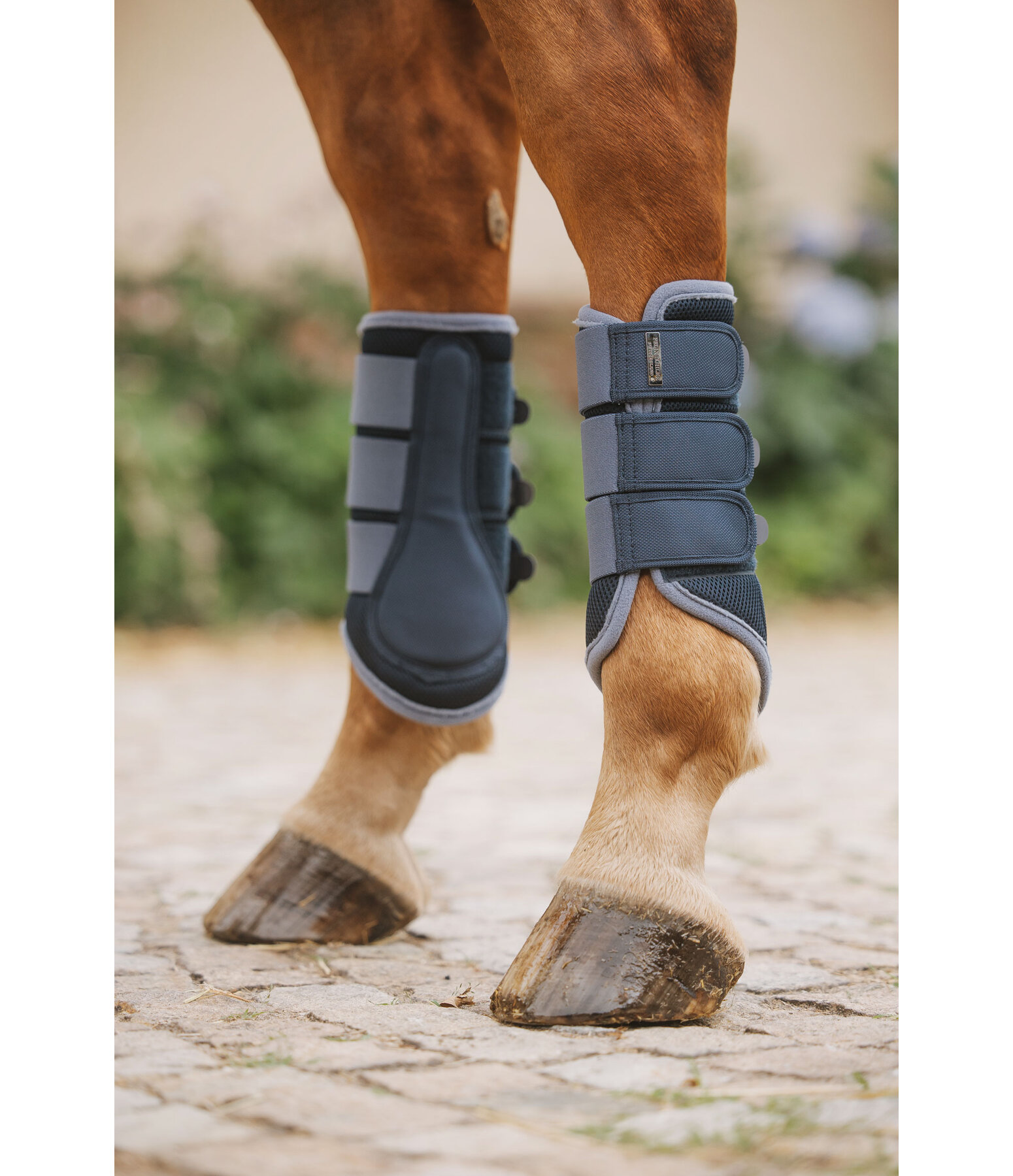 Functional Boots Swiss Design, Hind Legs