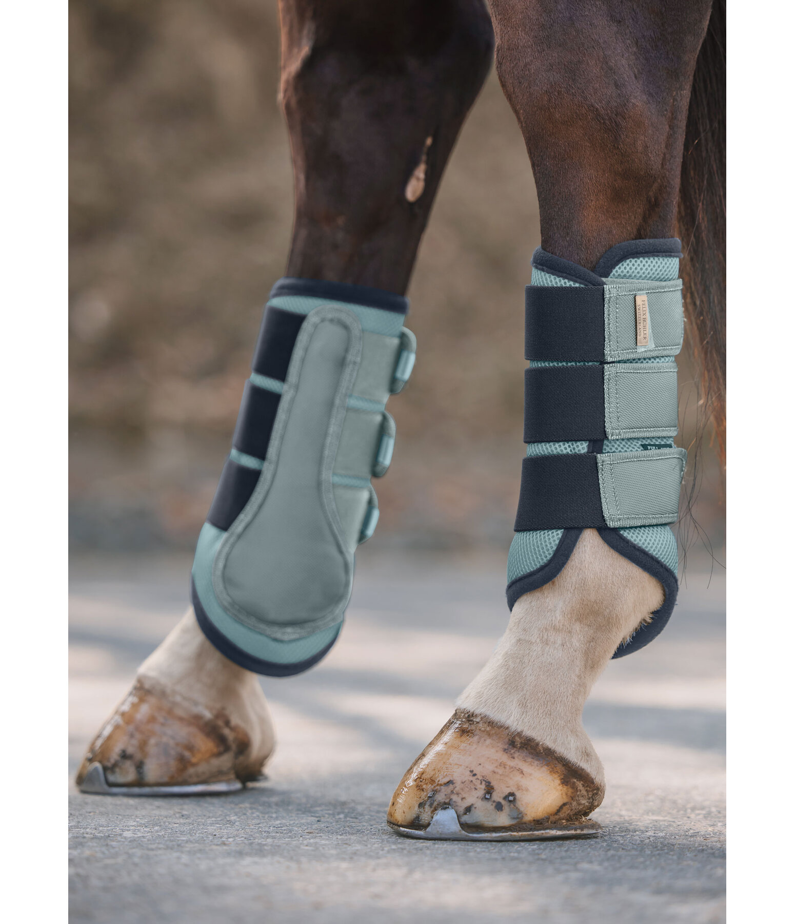 Functional Boots Swiss Design, Hind Legs