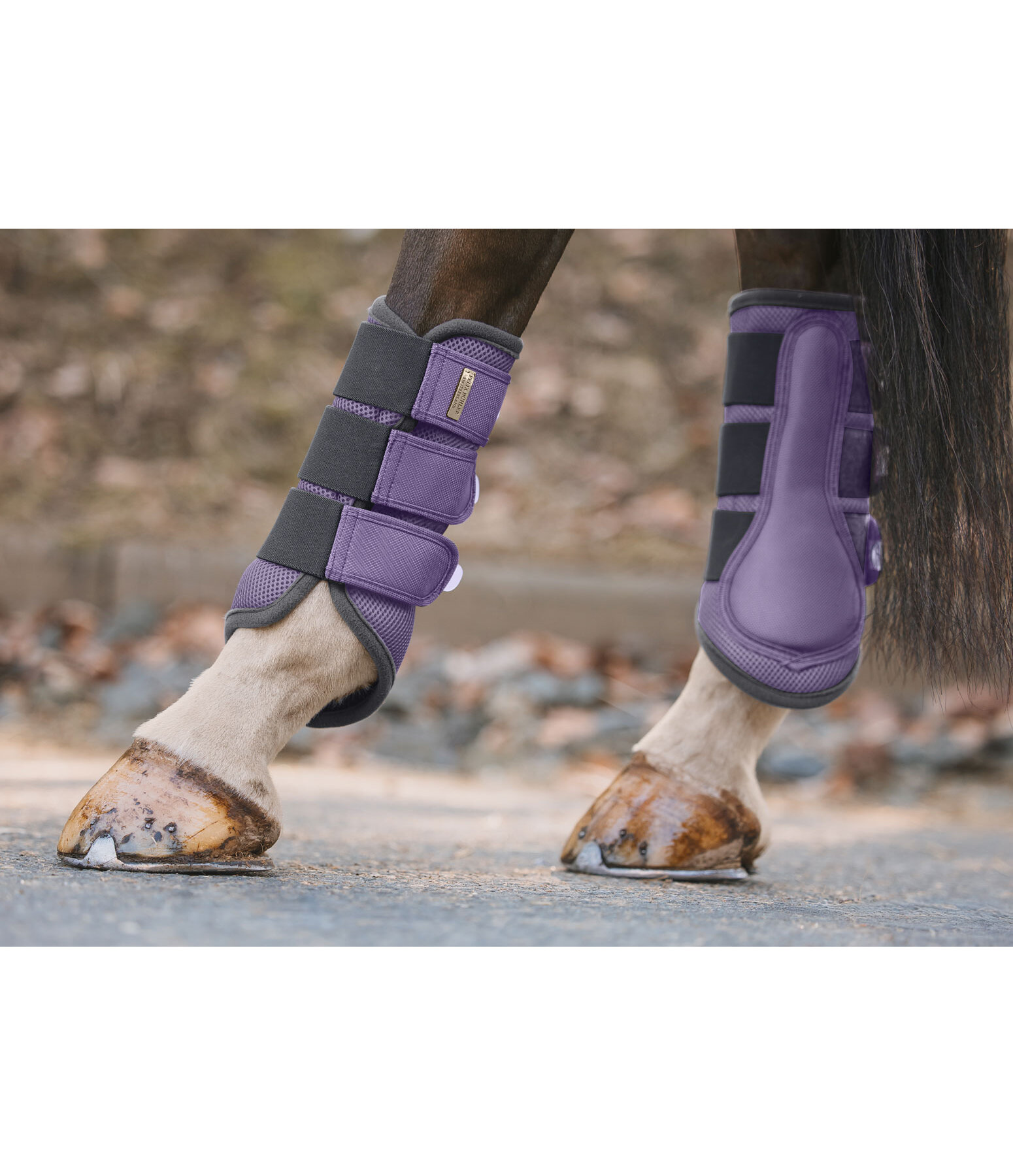 Functional Boots Swiss Design, Hind Legs