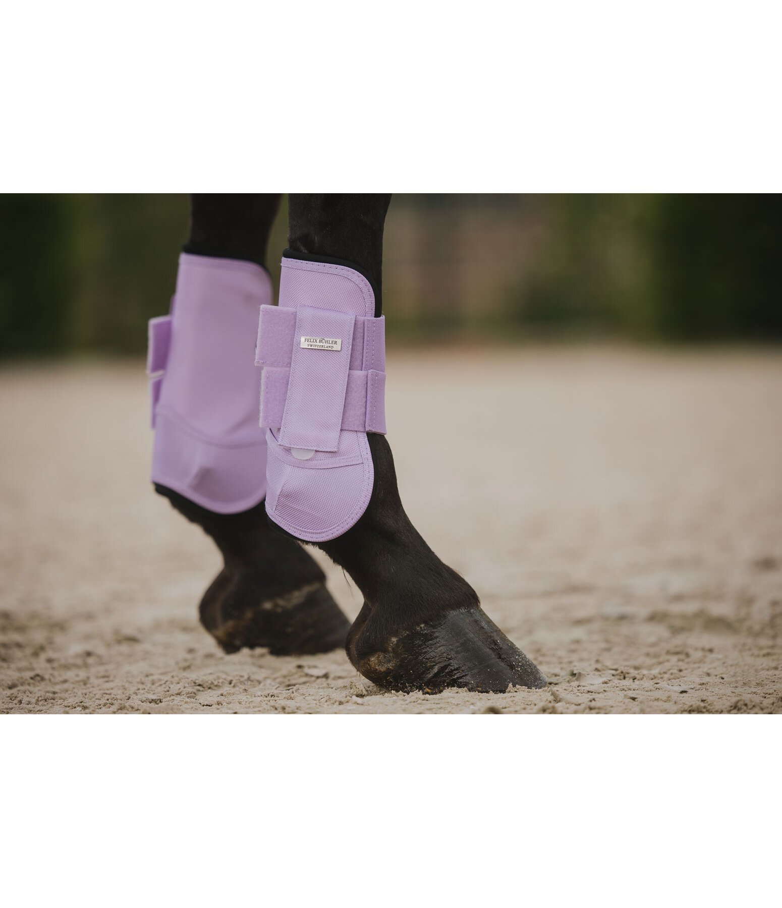 Boots Sophistication