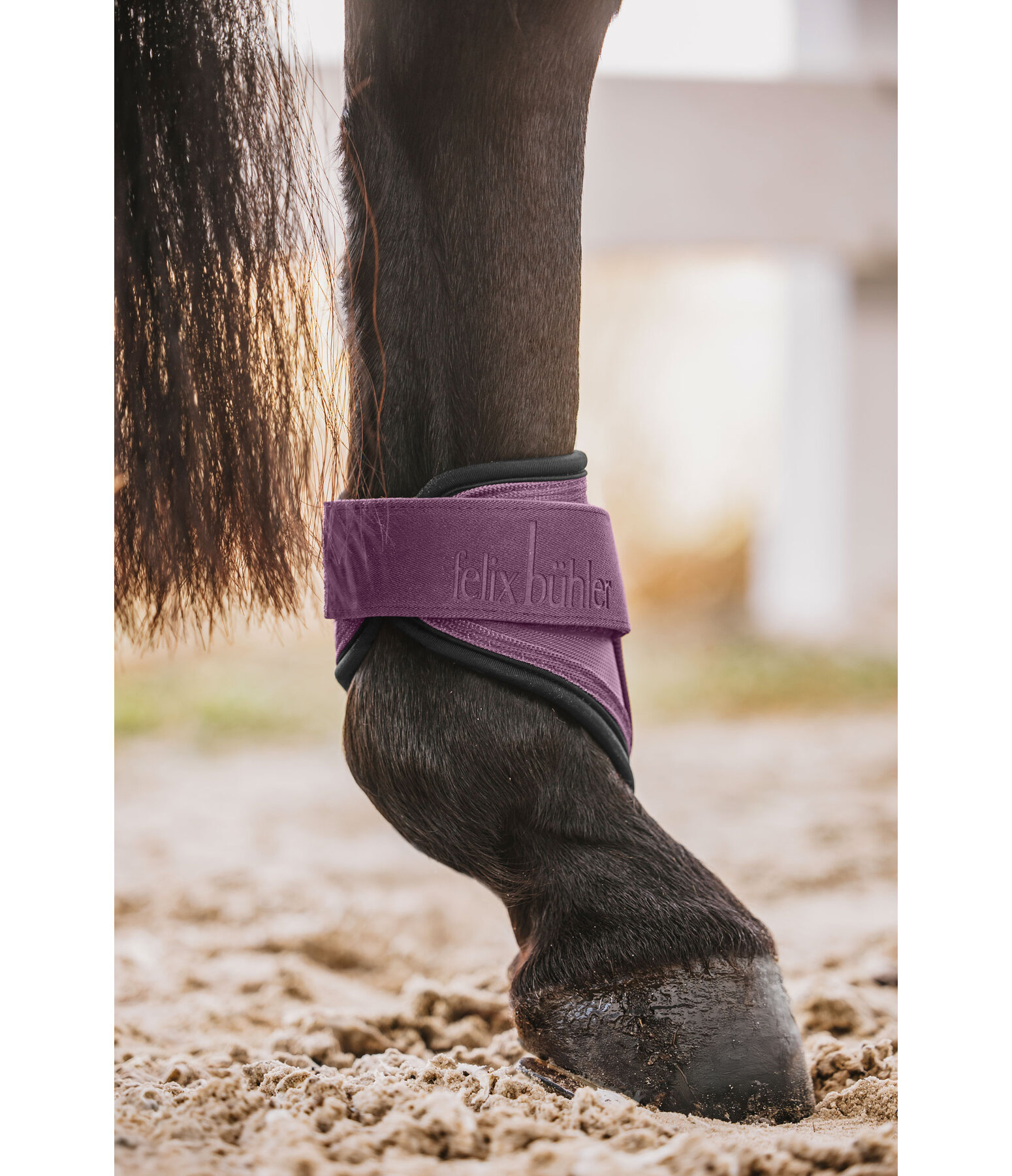 Fetlock Boots Sophistication