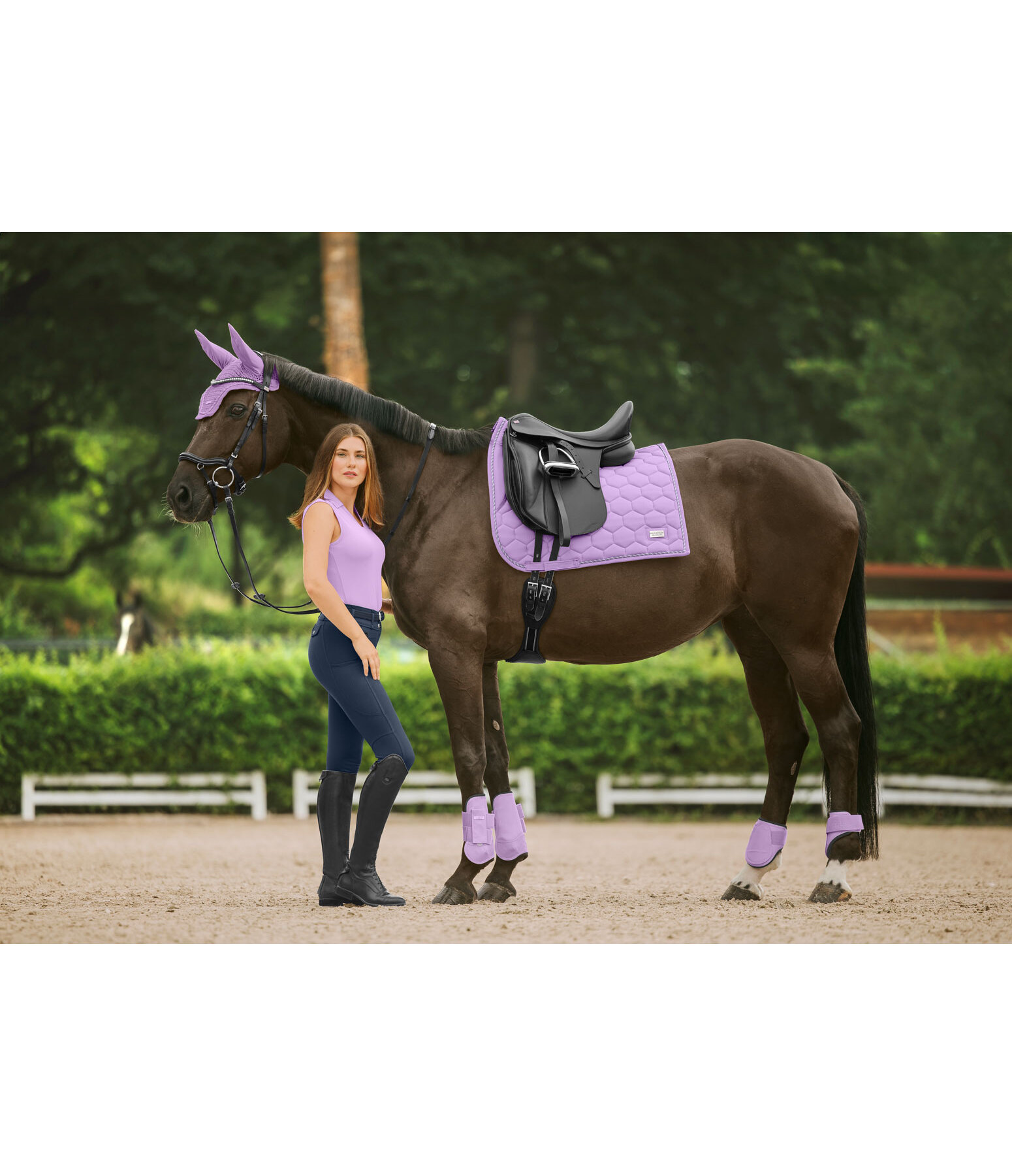 Fetlock Boots Sophistication