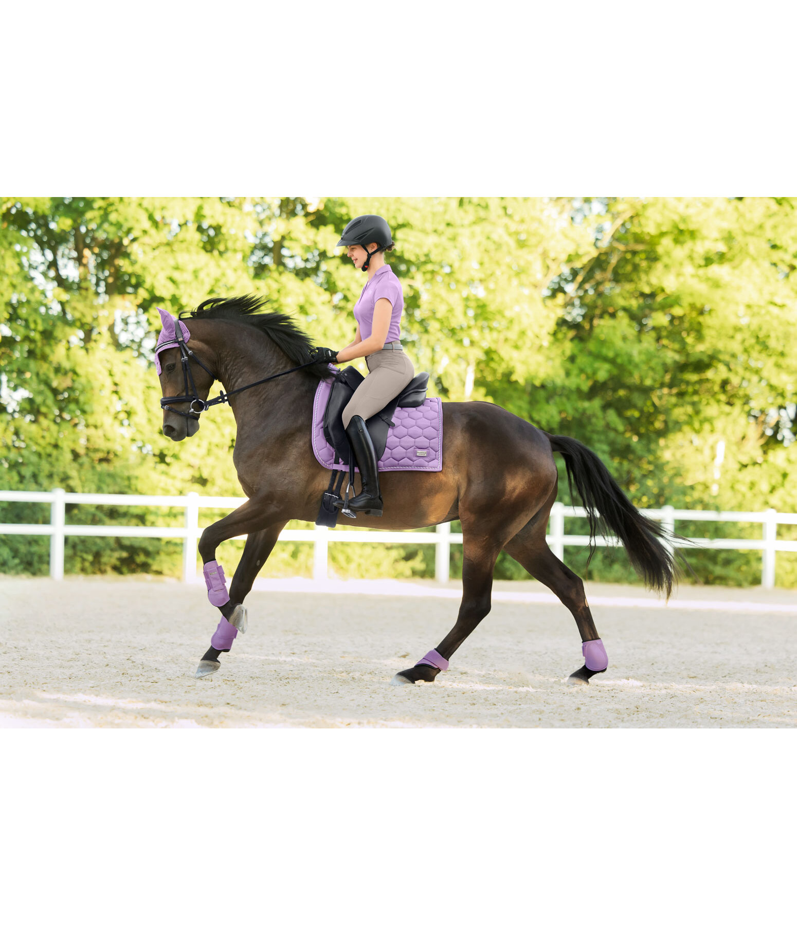 Fetlock Boots Sophistication