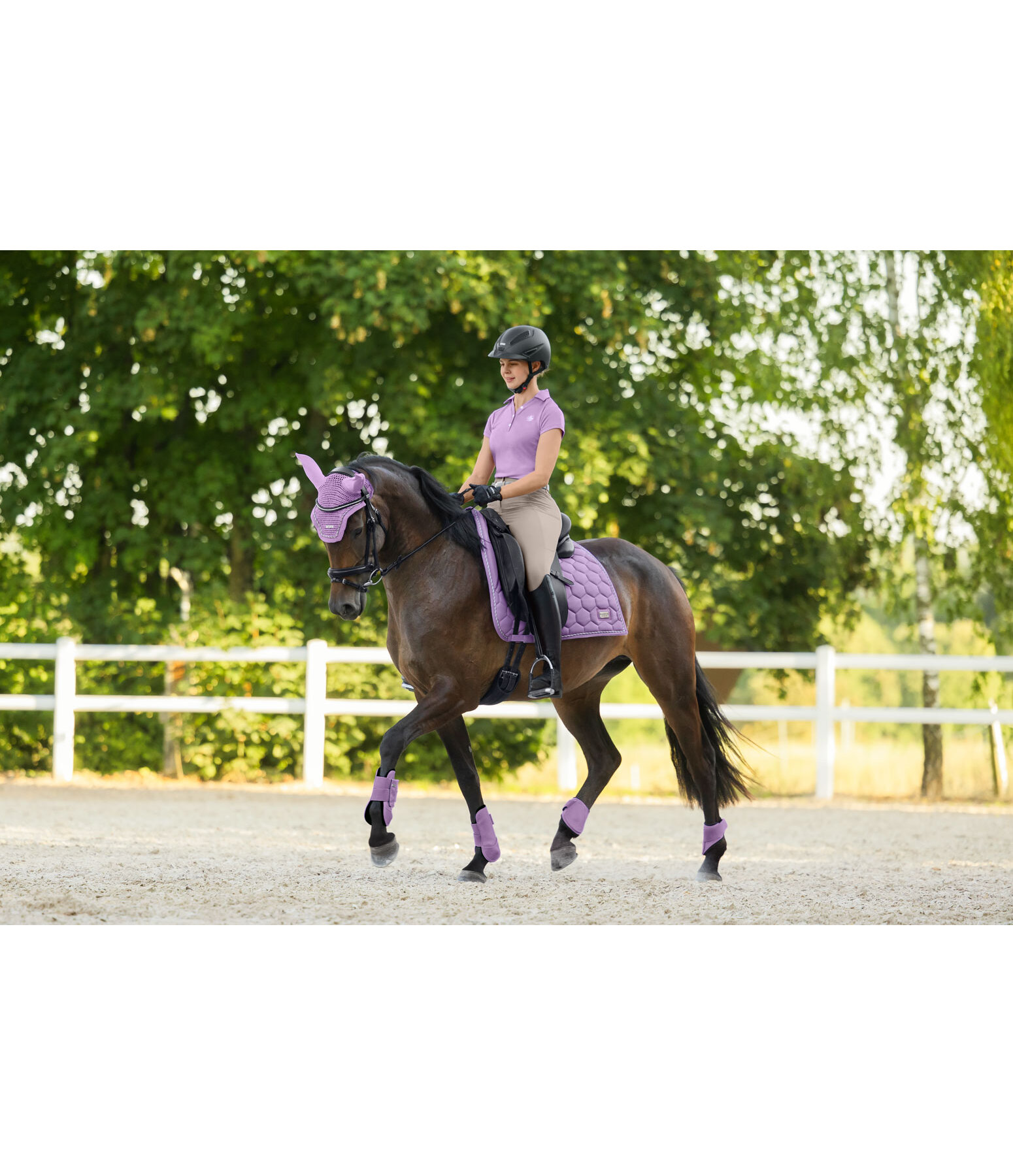 Fetlock Boots Sophistication