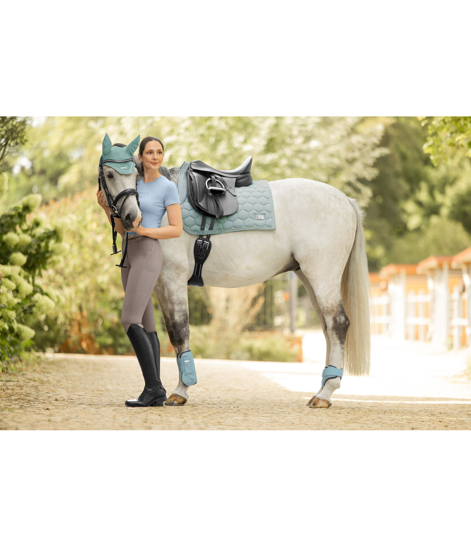 Fetlock Boots Sophistication