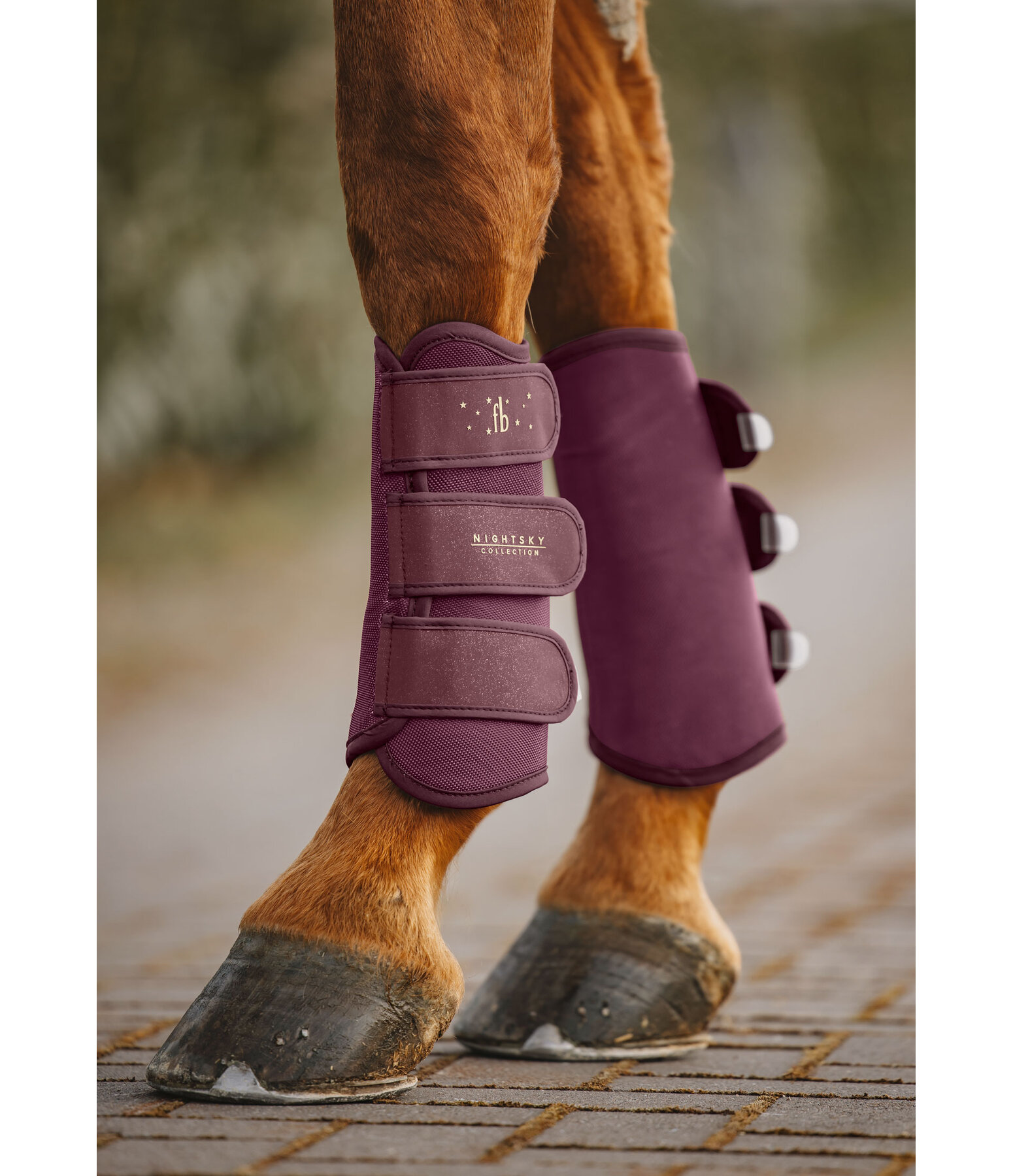 Work Boots Night Sky, Front Legs