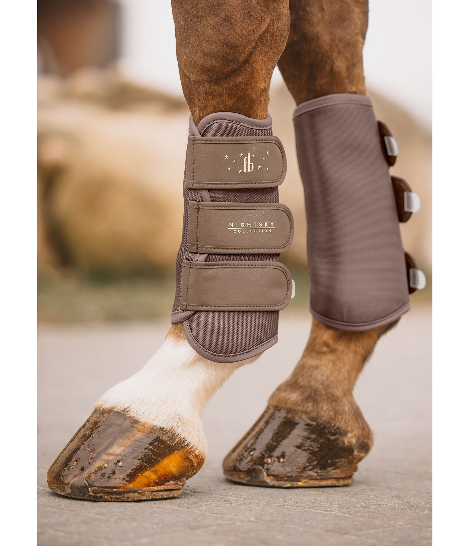 Work Boots Night Sky, Front Legs
