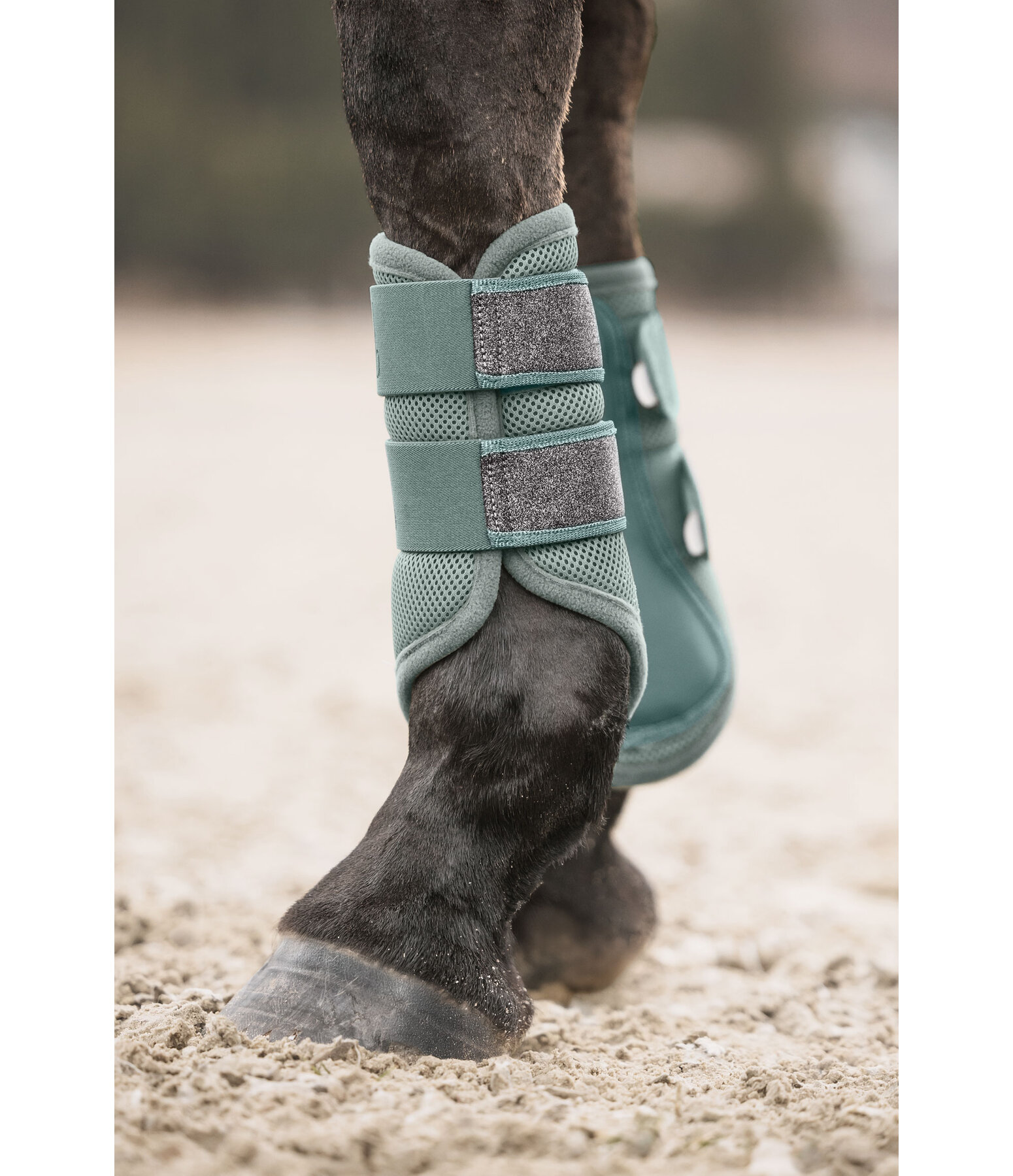 Mesh Boots Glitter, Front Legs