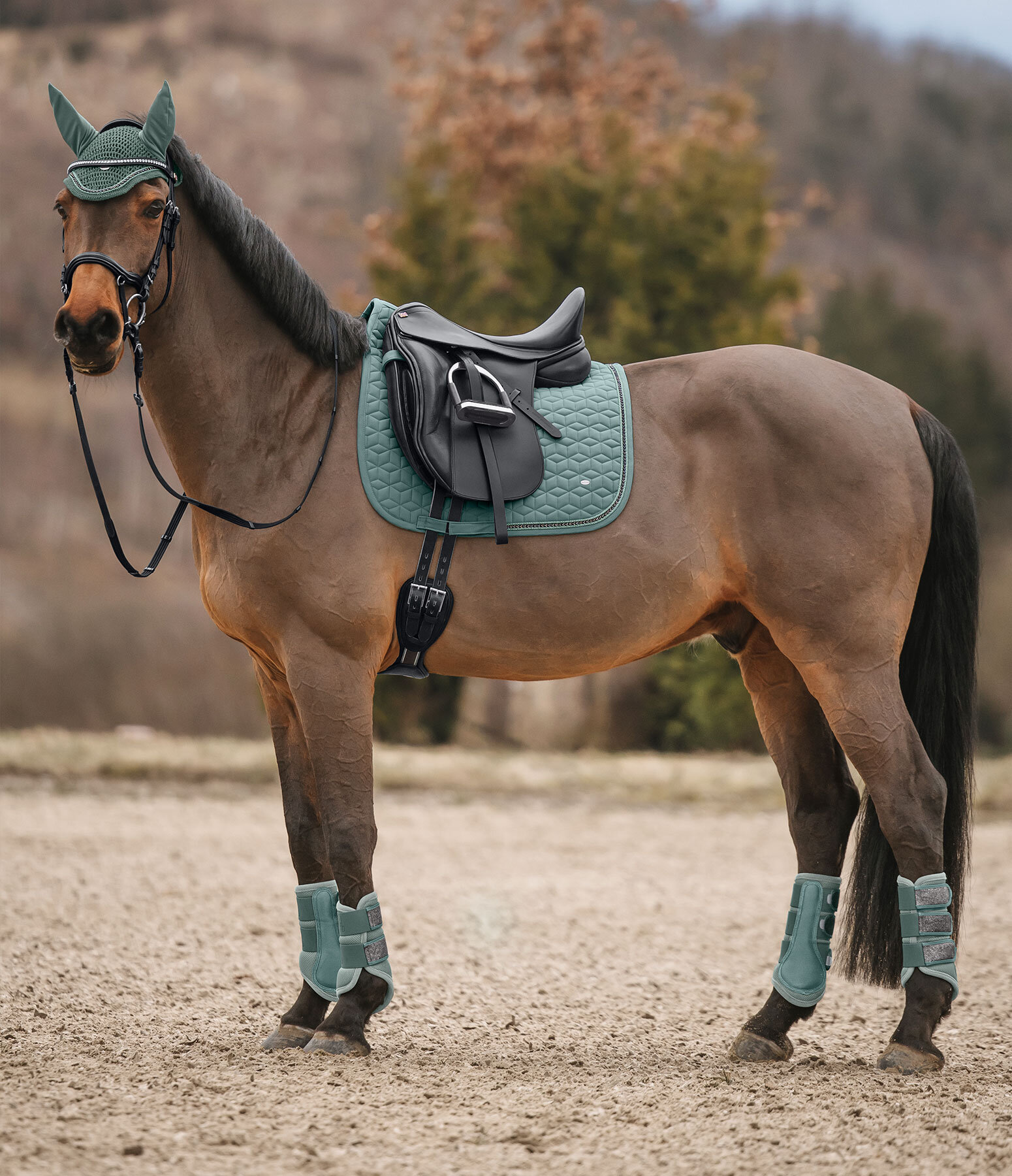 Mesh Boots Glitter, Front Legs