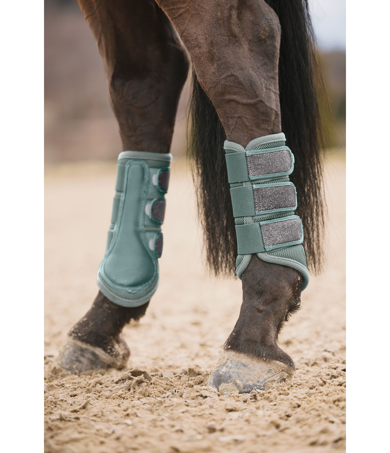 Mesh Boots Glitter, Hind Legs