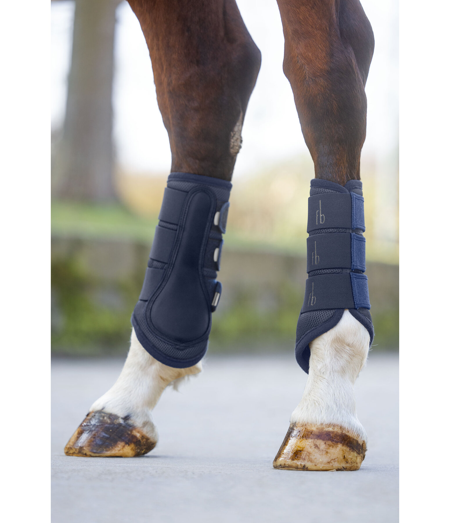 Mesh Boots Glitter, Hind Legs