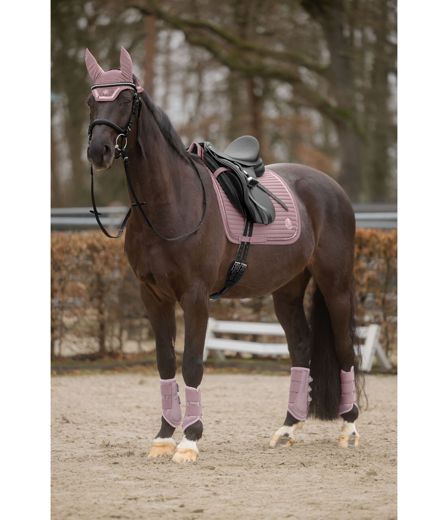 Mesh Boots Glitter, Hind Legs