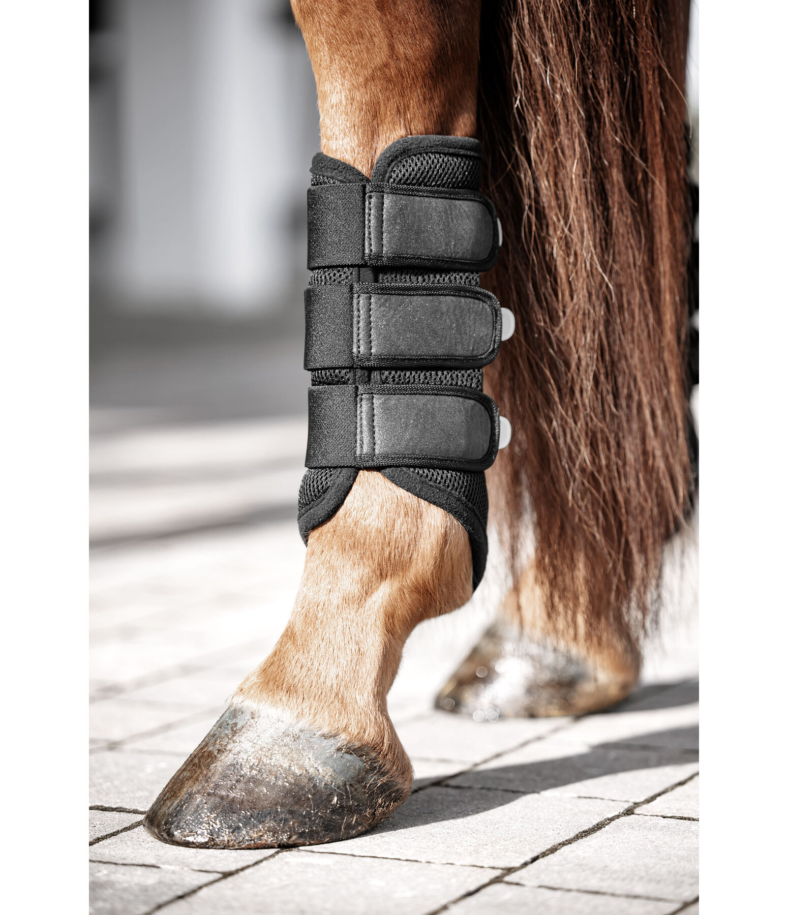 Mesh Boots Glitter, Hind Legs