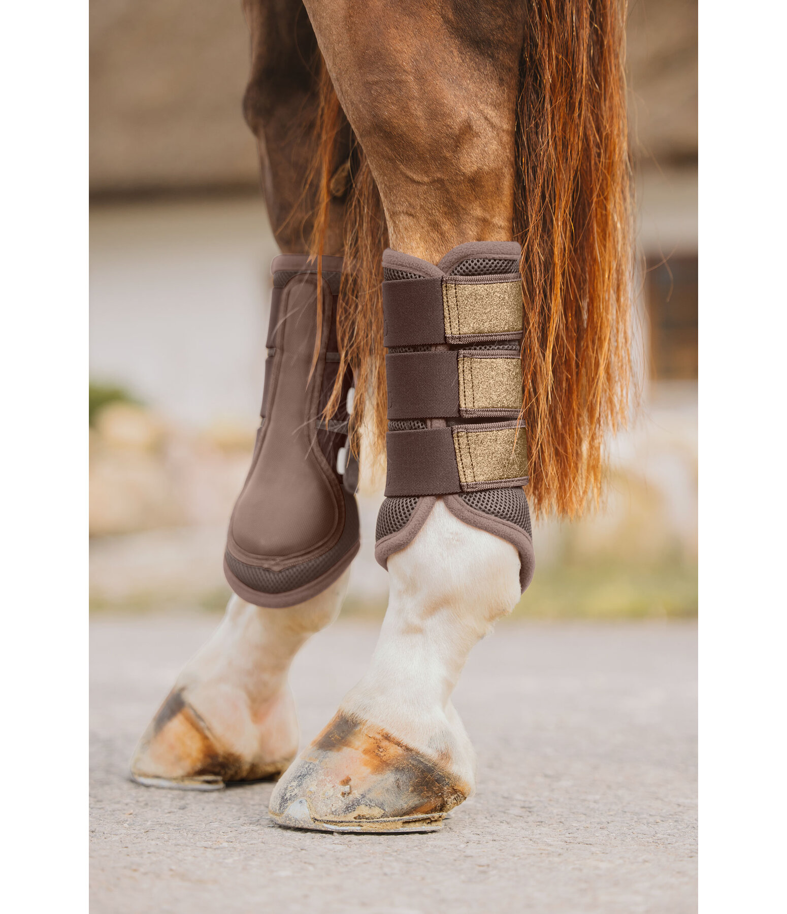 Mesh Boots Glitter, Hind Legs