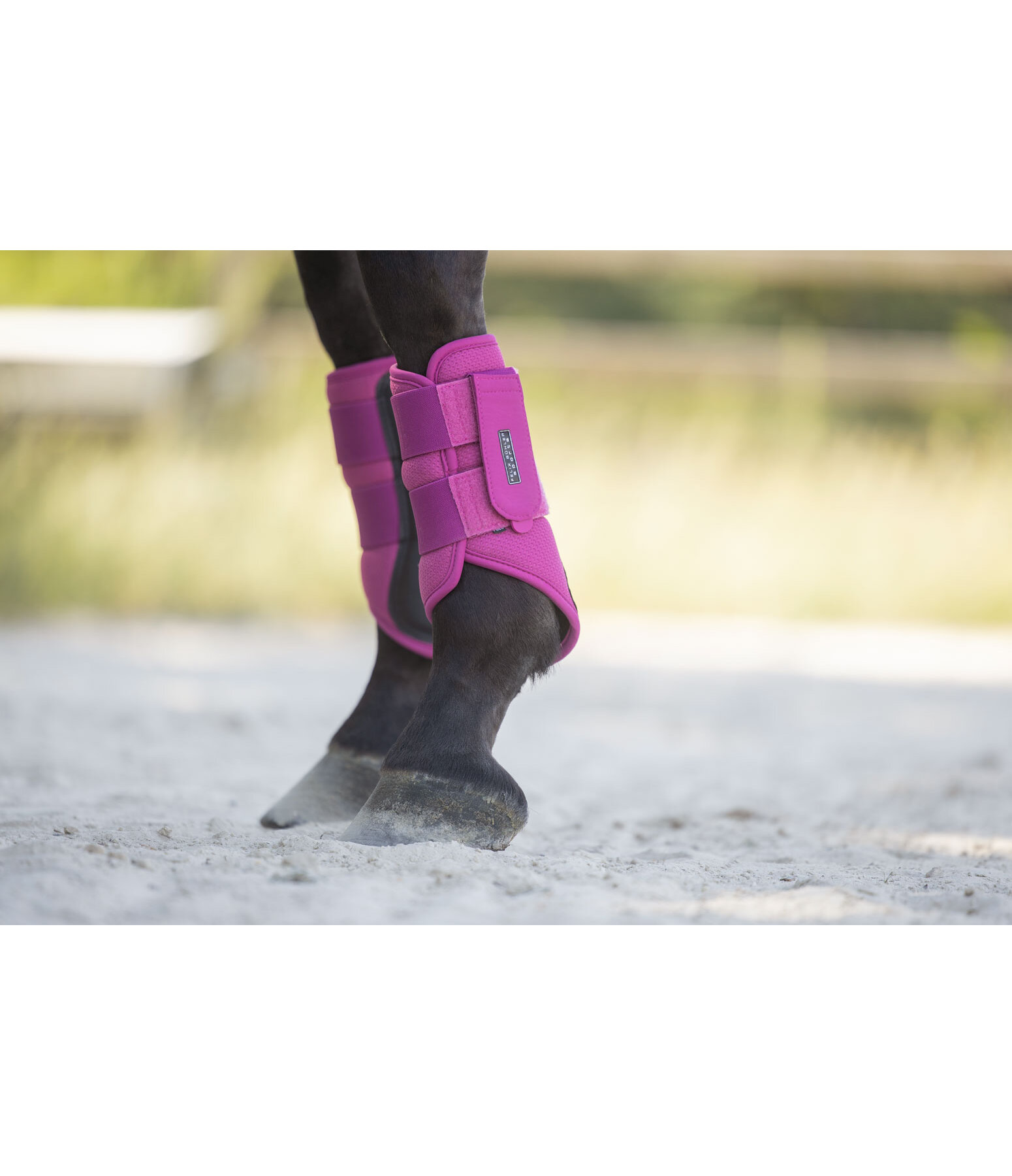 Functional Boots Mesh Technology, Front Legs