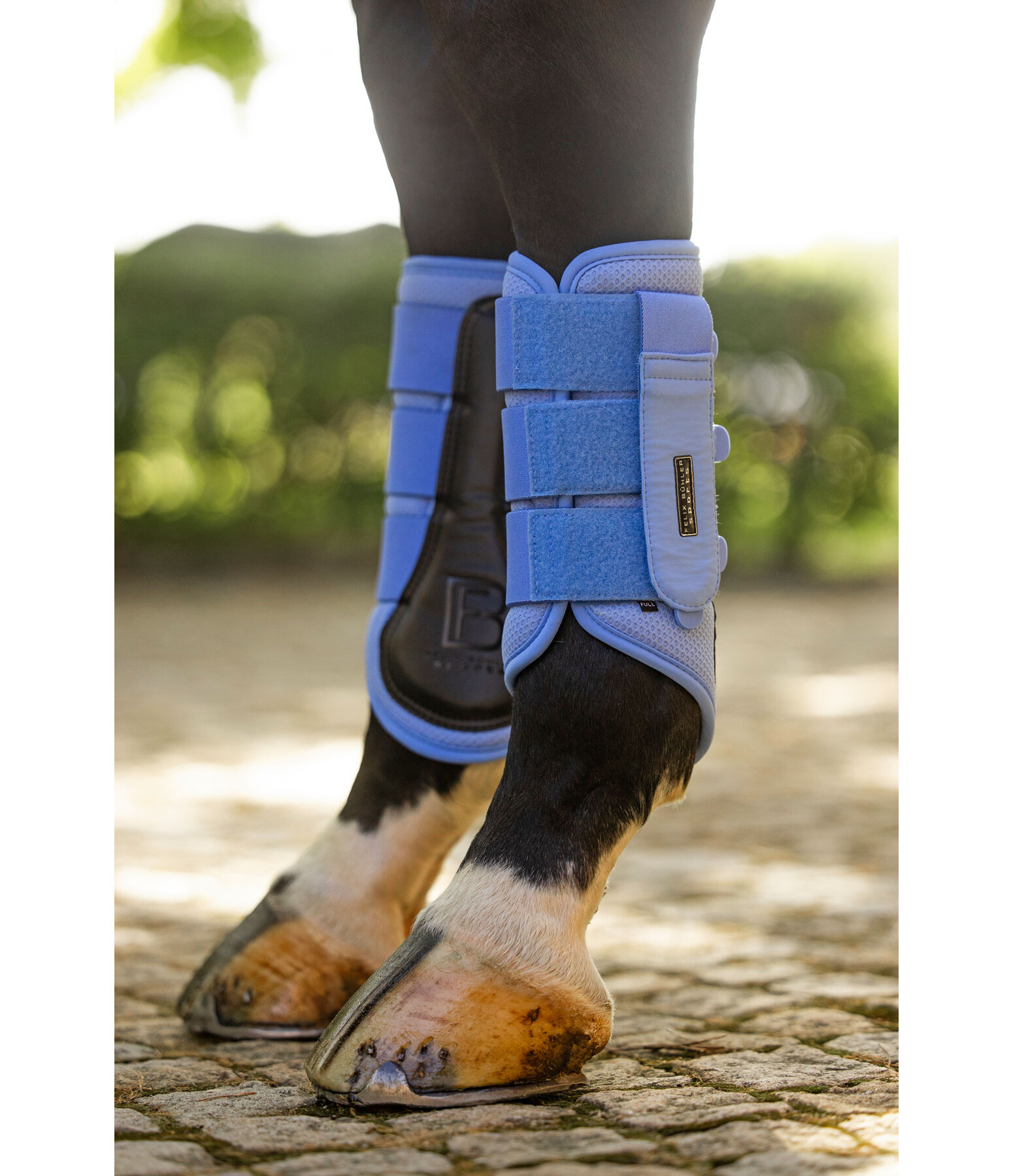 Functional Boots Mesh Technology, Hind Legs