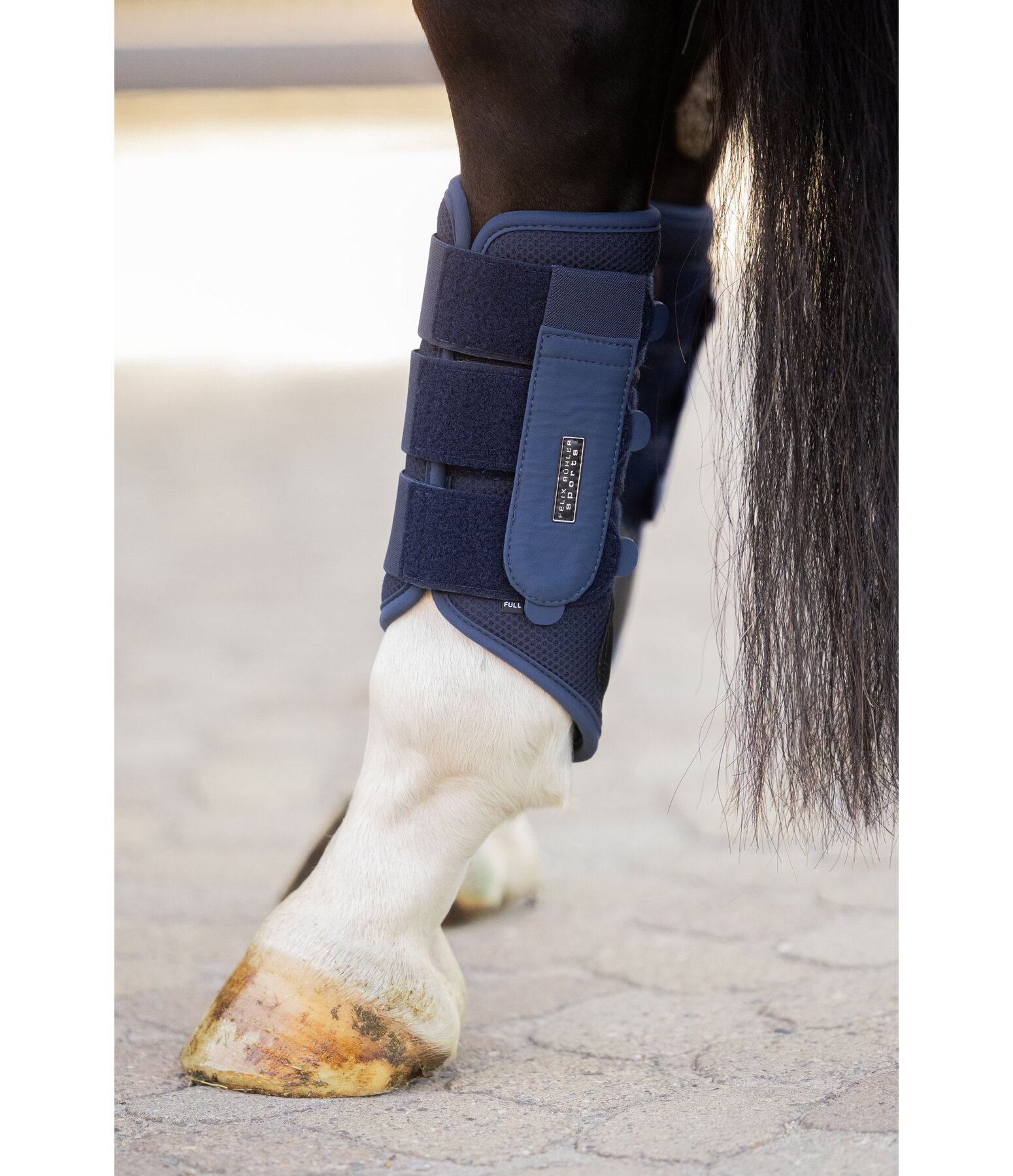 Functional Boots Mesh Technology, Hind Legs