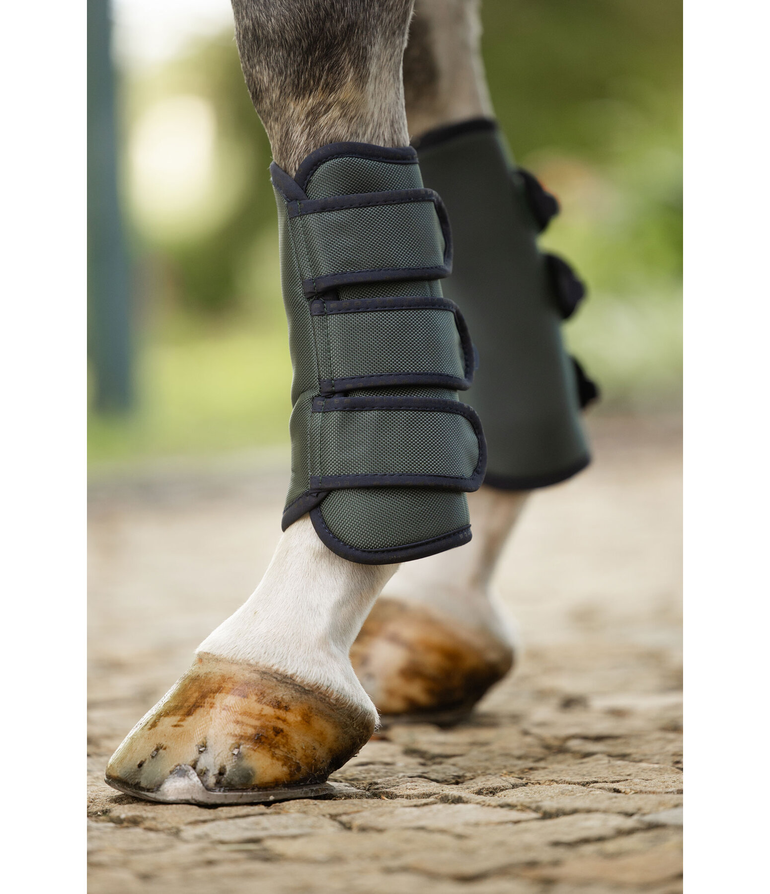 Dressage Boots Twotone, Front Legs
