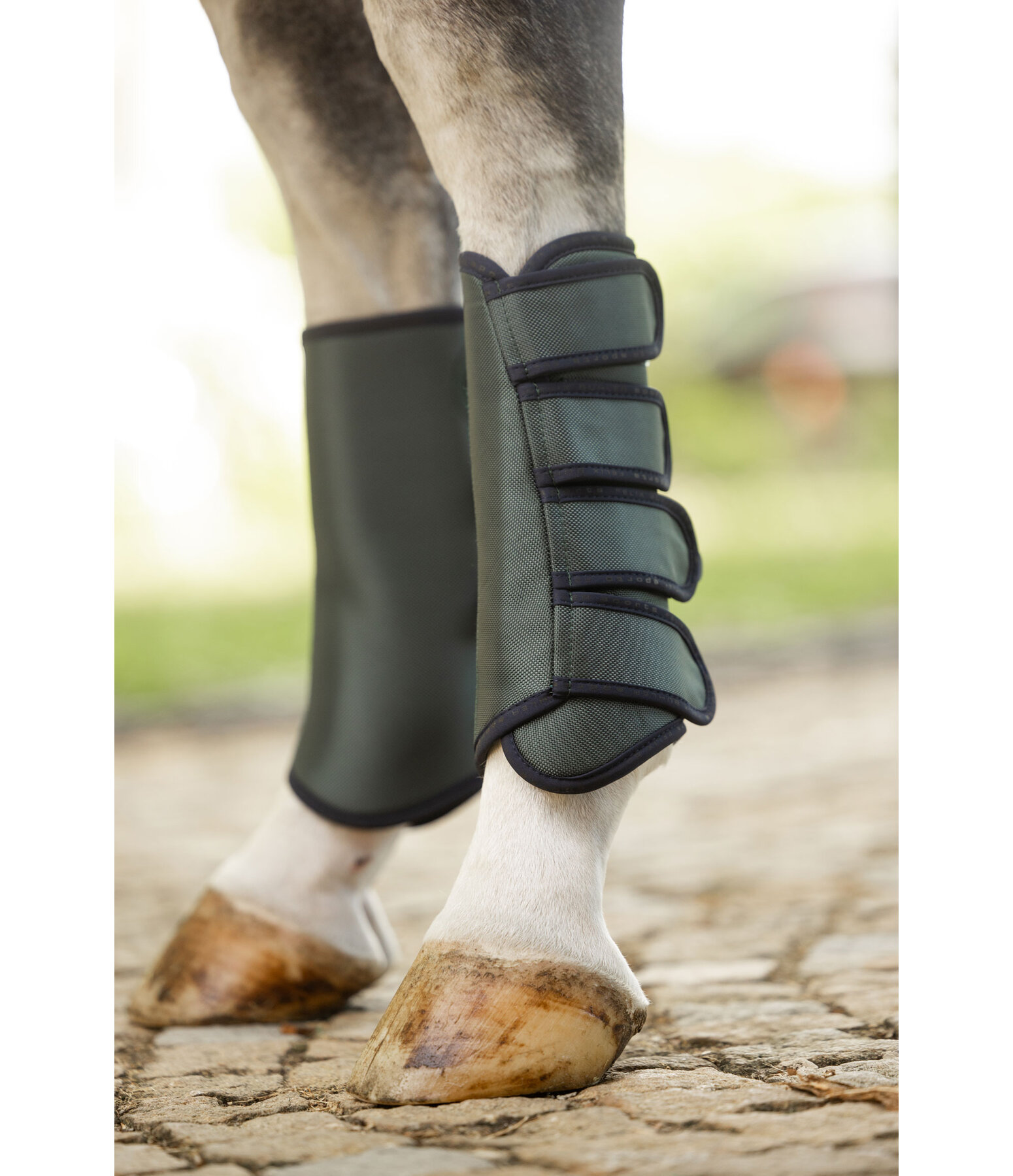 Dressage Boots Twotone, Hind Legs