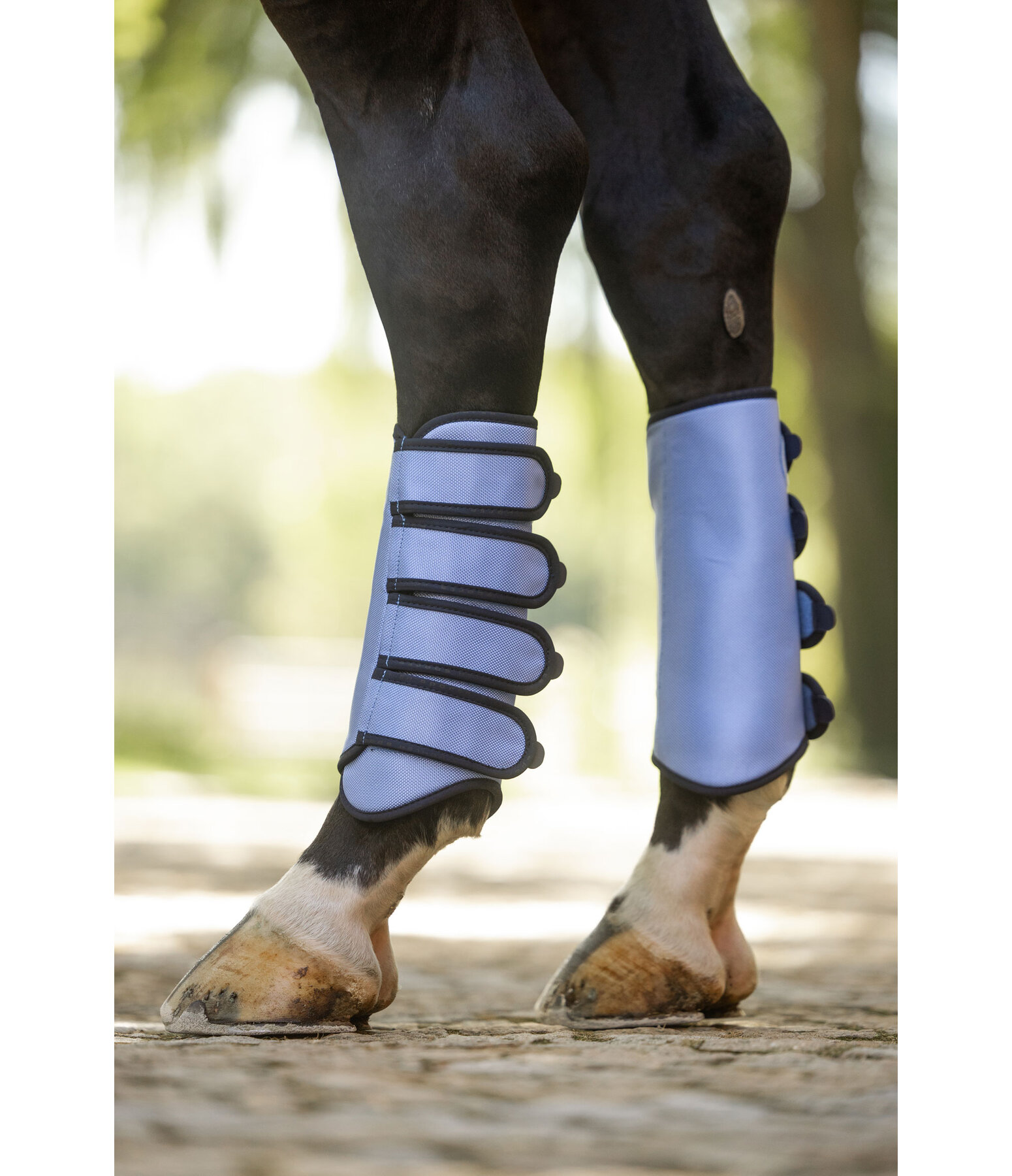 Dressage Boots Twotone, Hind Legs