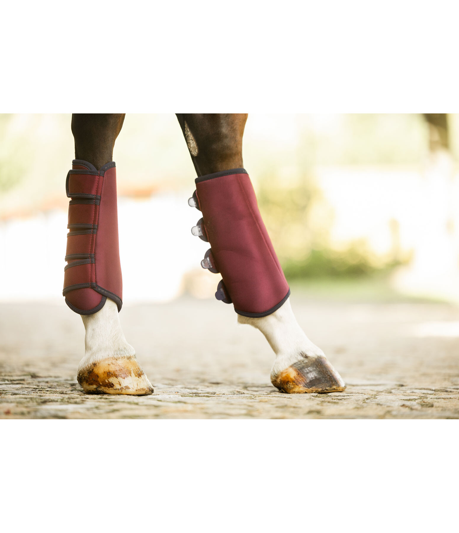 Dressage Boots Twotone, Hind Legs