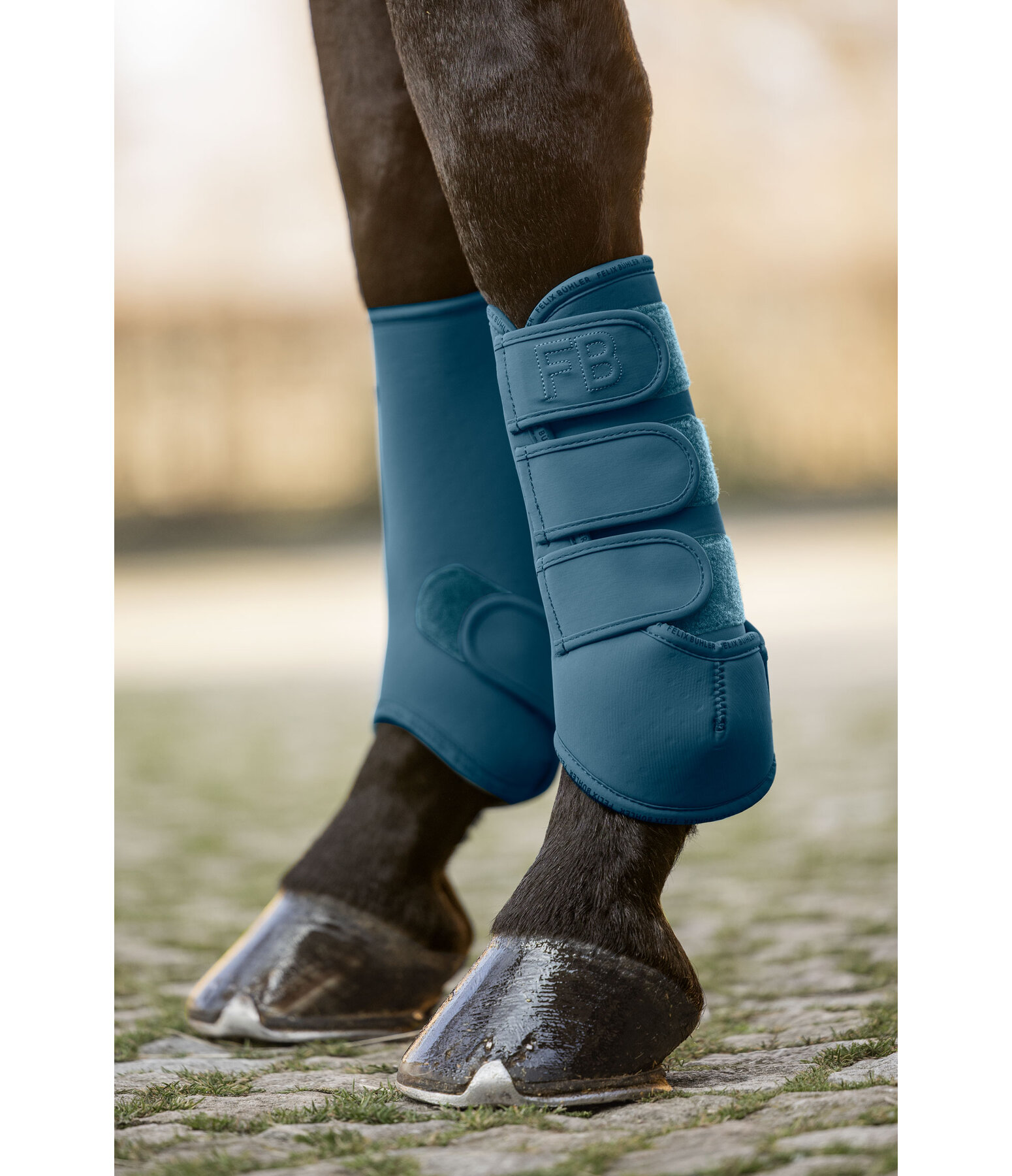 Boots Glitter Stone, Front Legs