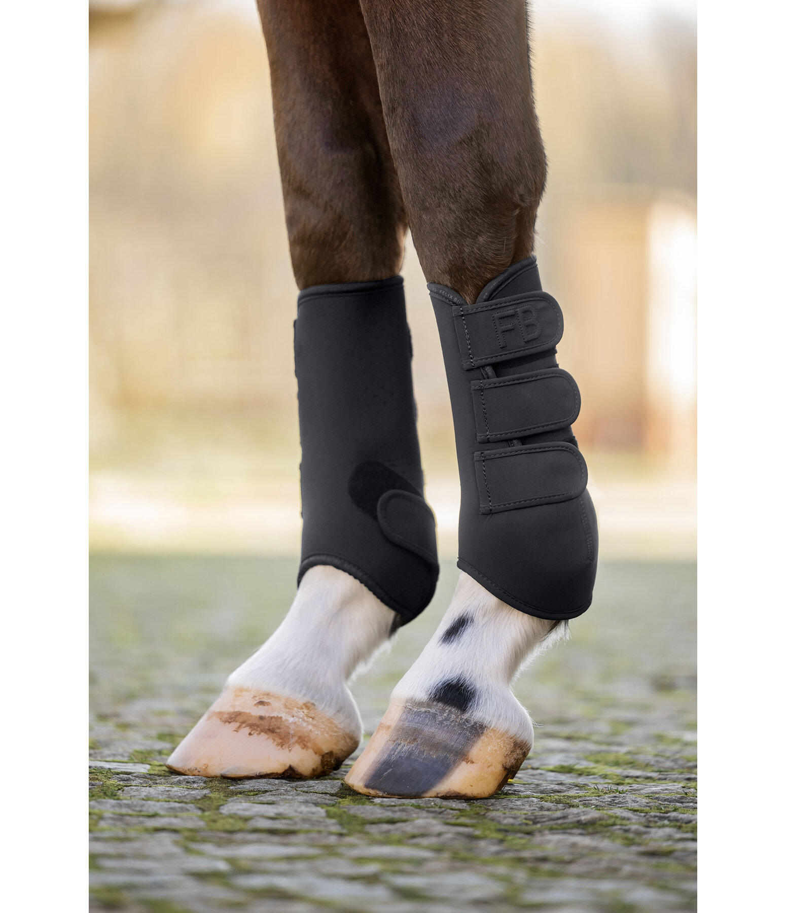 Boots Glitter Stone, Front Legs