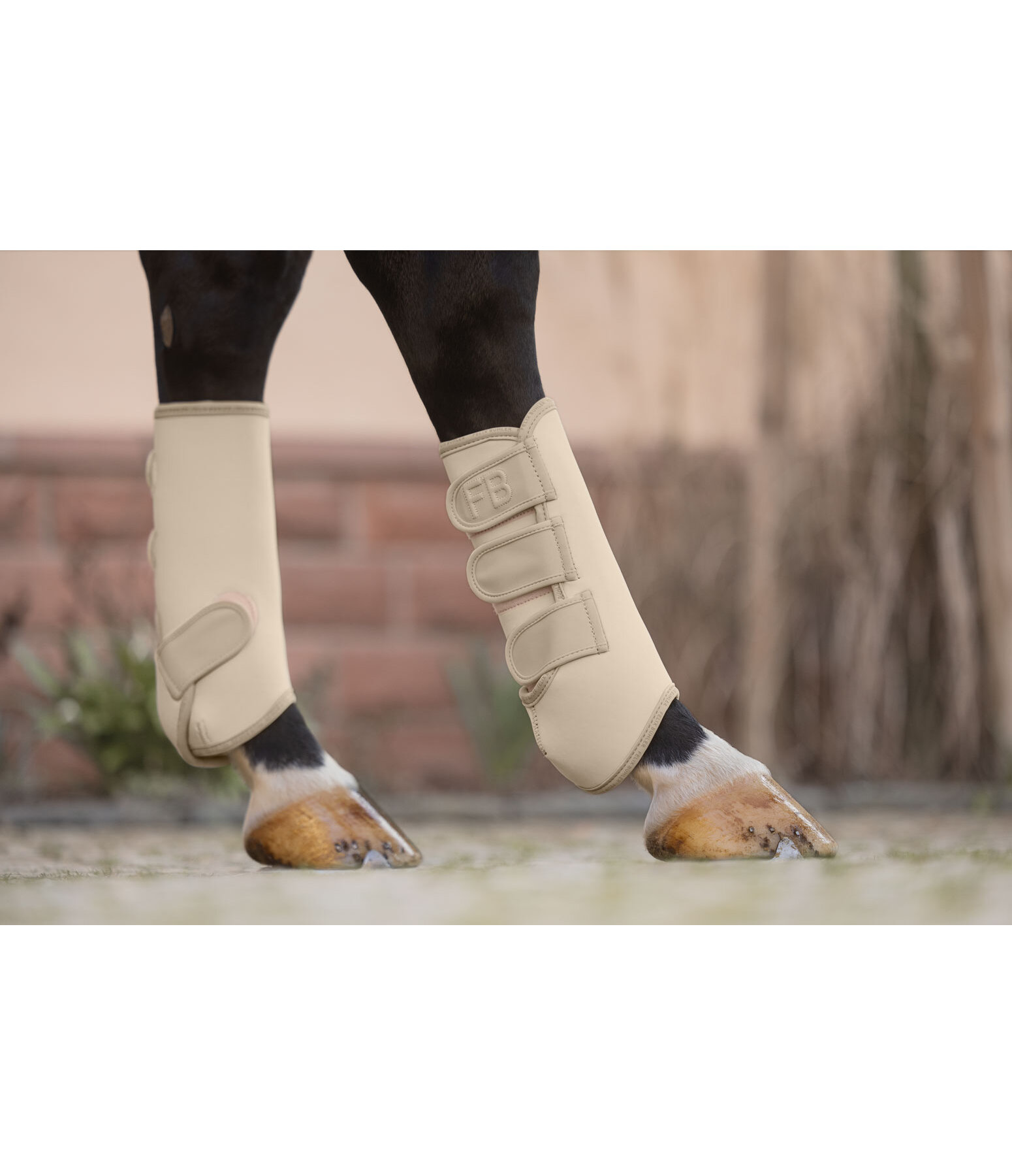 Boots Glitter Stone, Hind Legs