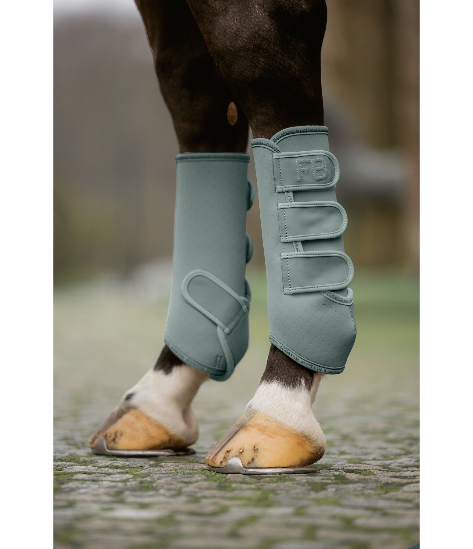 Boots Glitter Stone, Hind Legs