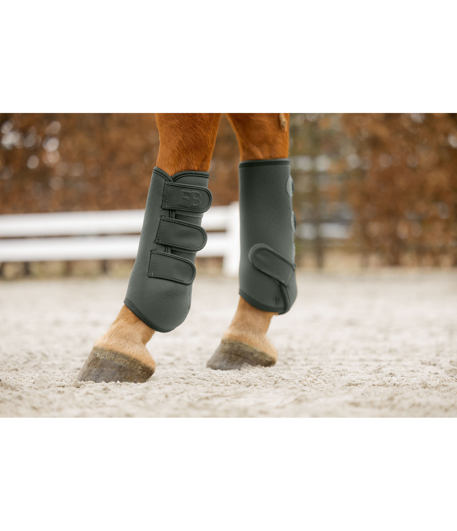 Boots Glitter Stone, Hind Legs