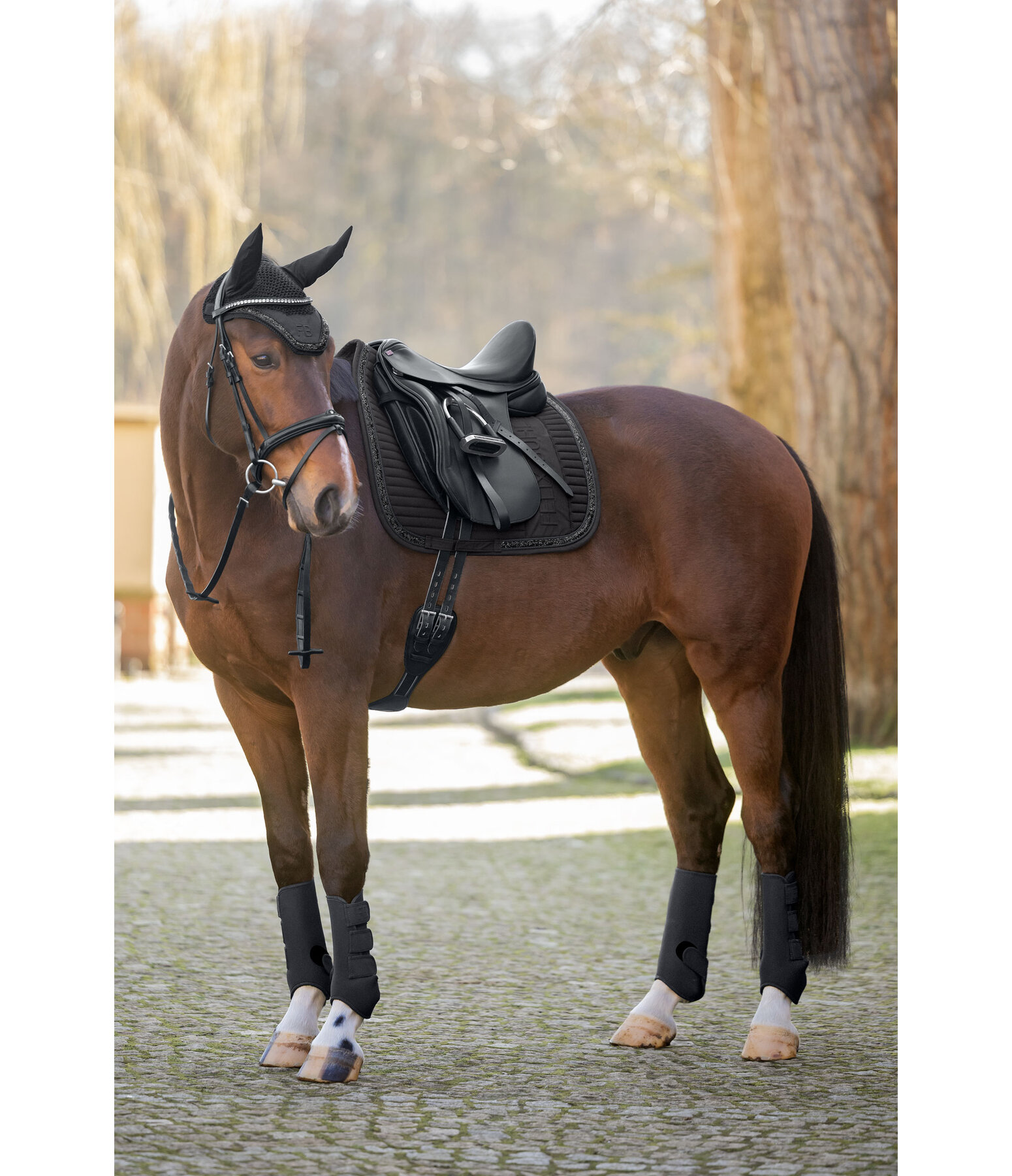 Boots Glitter Stone, Hind Legs