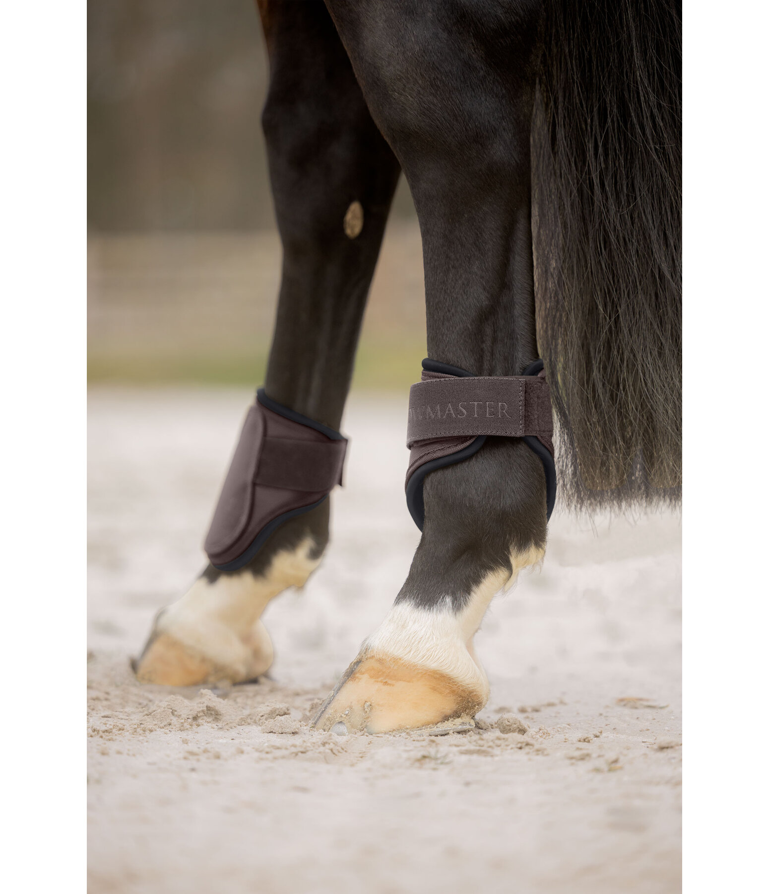 Fetlock Boots Brilliant