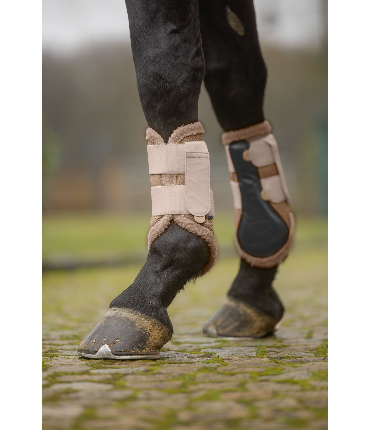 Teddy Boots, Front Legs