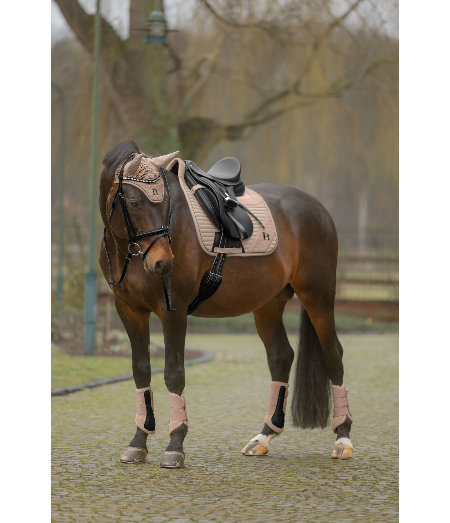 Teddy Boots, Front Legs