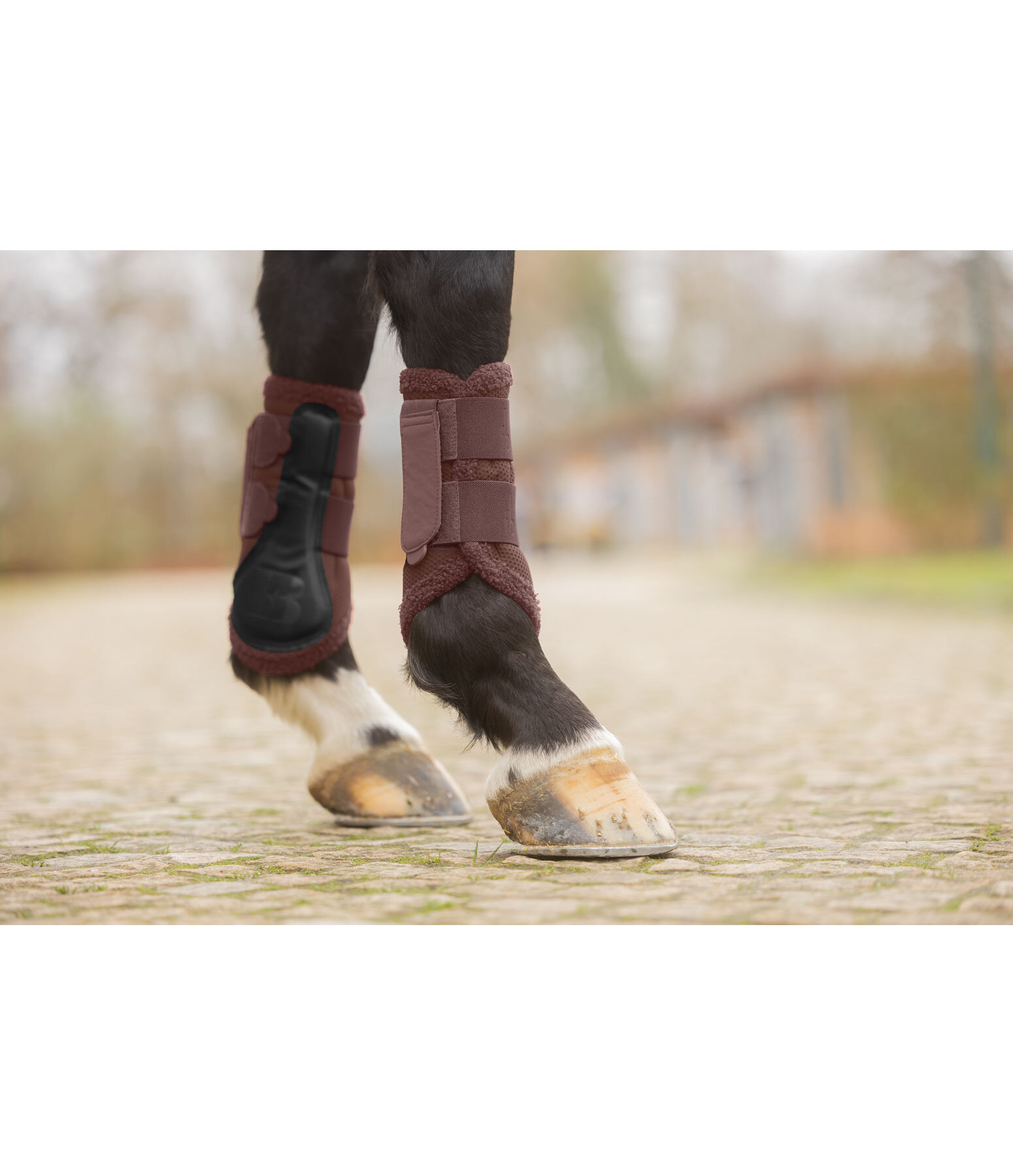Teddy Boots, Front Legs