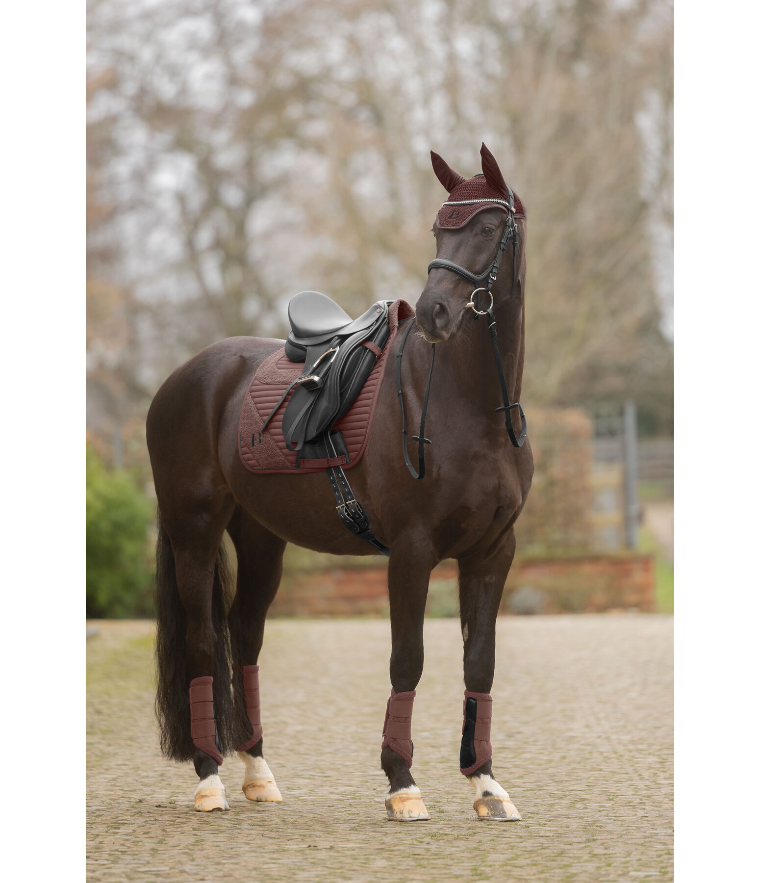 Teddy Boots, Front Legs
