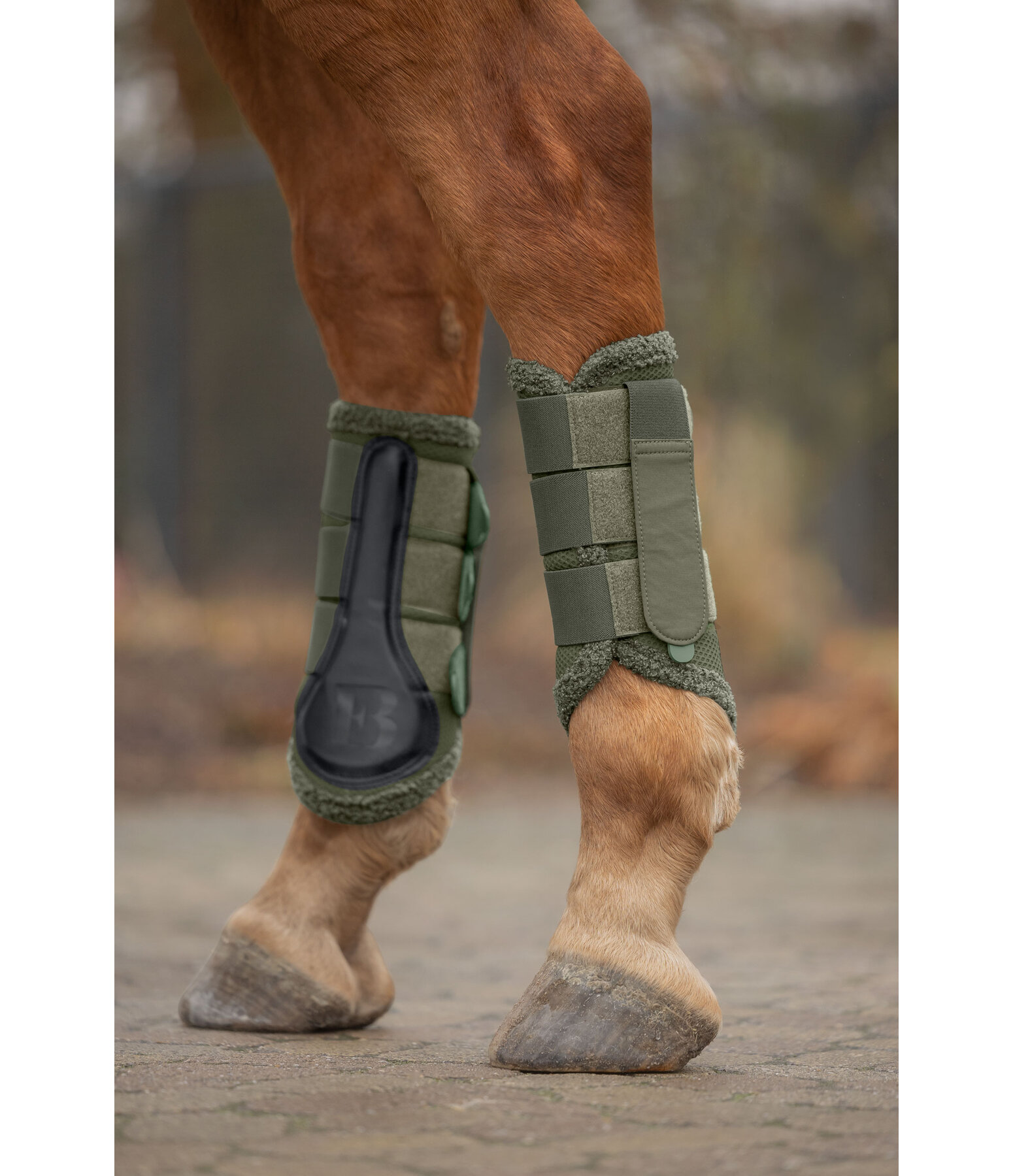Teddy Boots, Hind Legs
