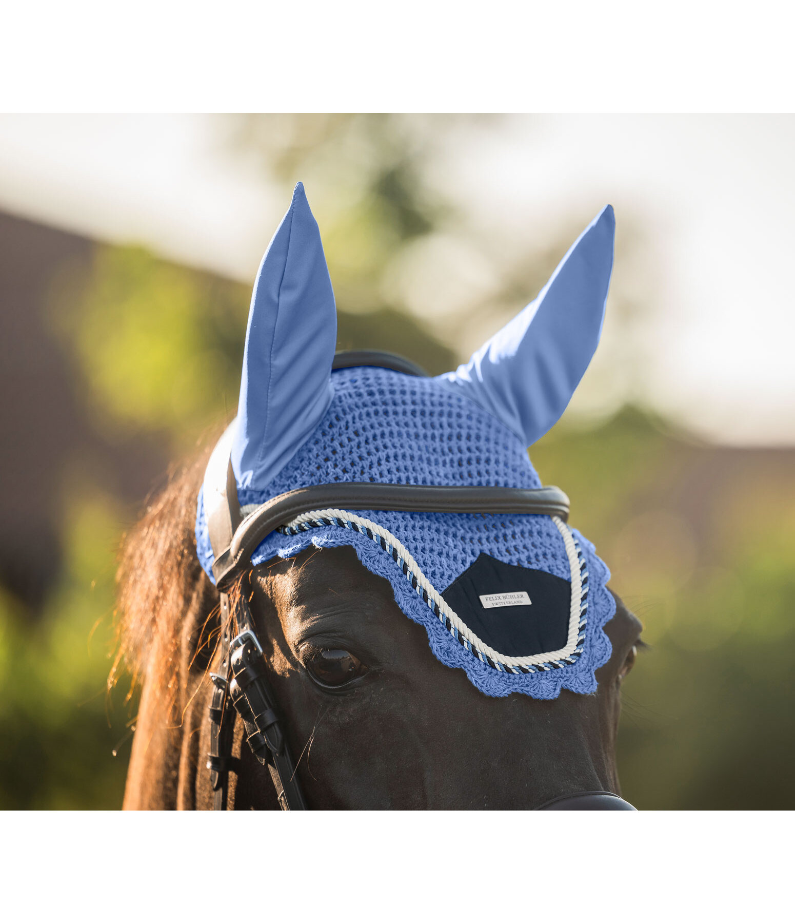 Fly Veil Swiss Design