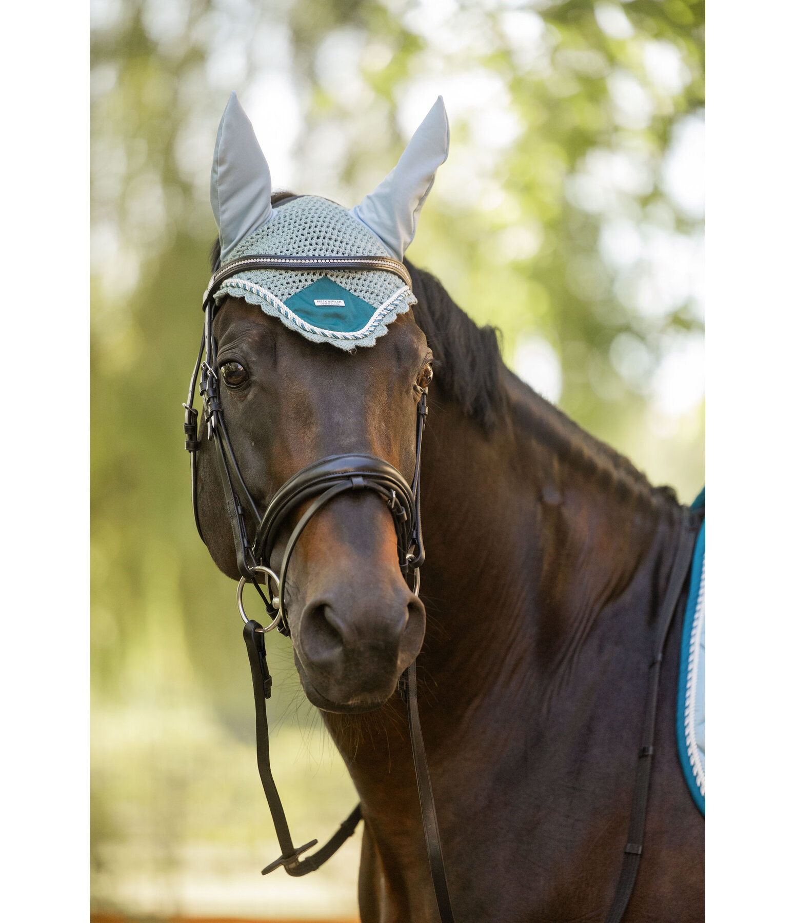 Fly Veil Swiss Design