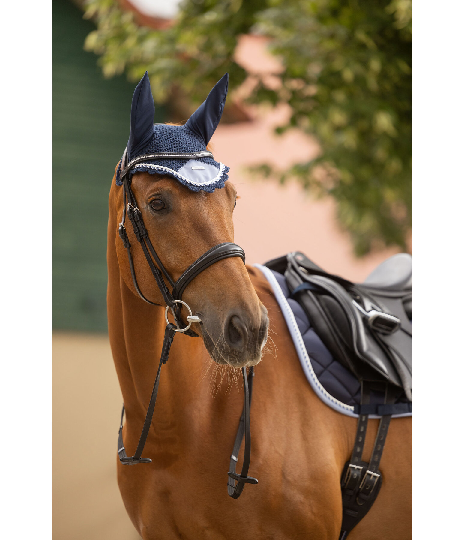 Fly Veil Swiss Design