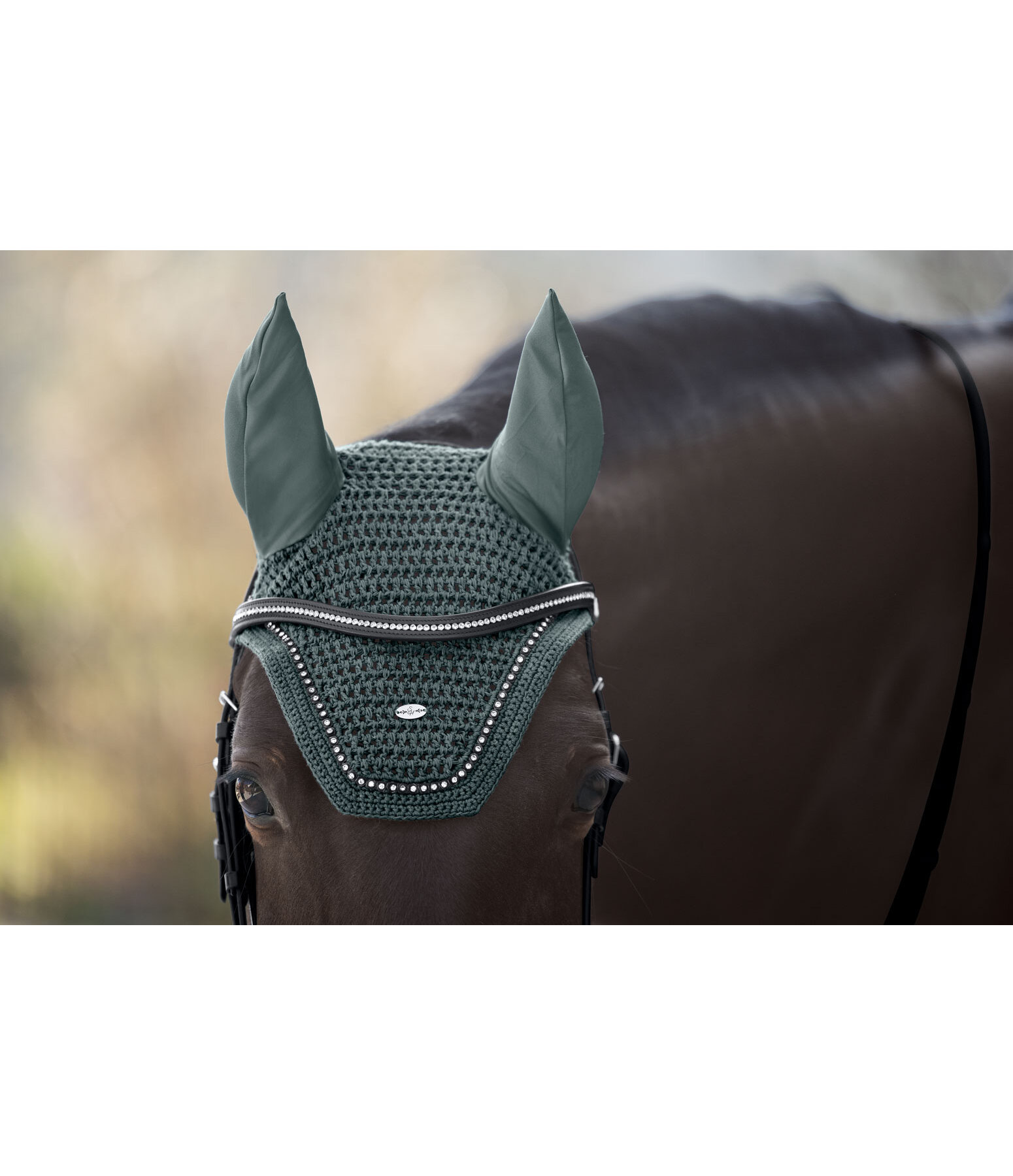 Fly Veil Brilliant