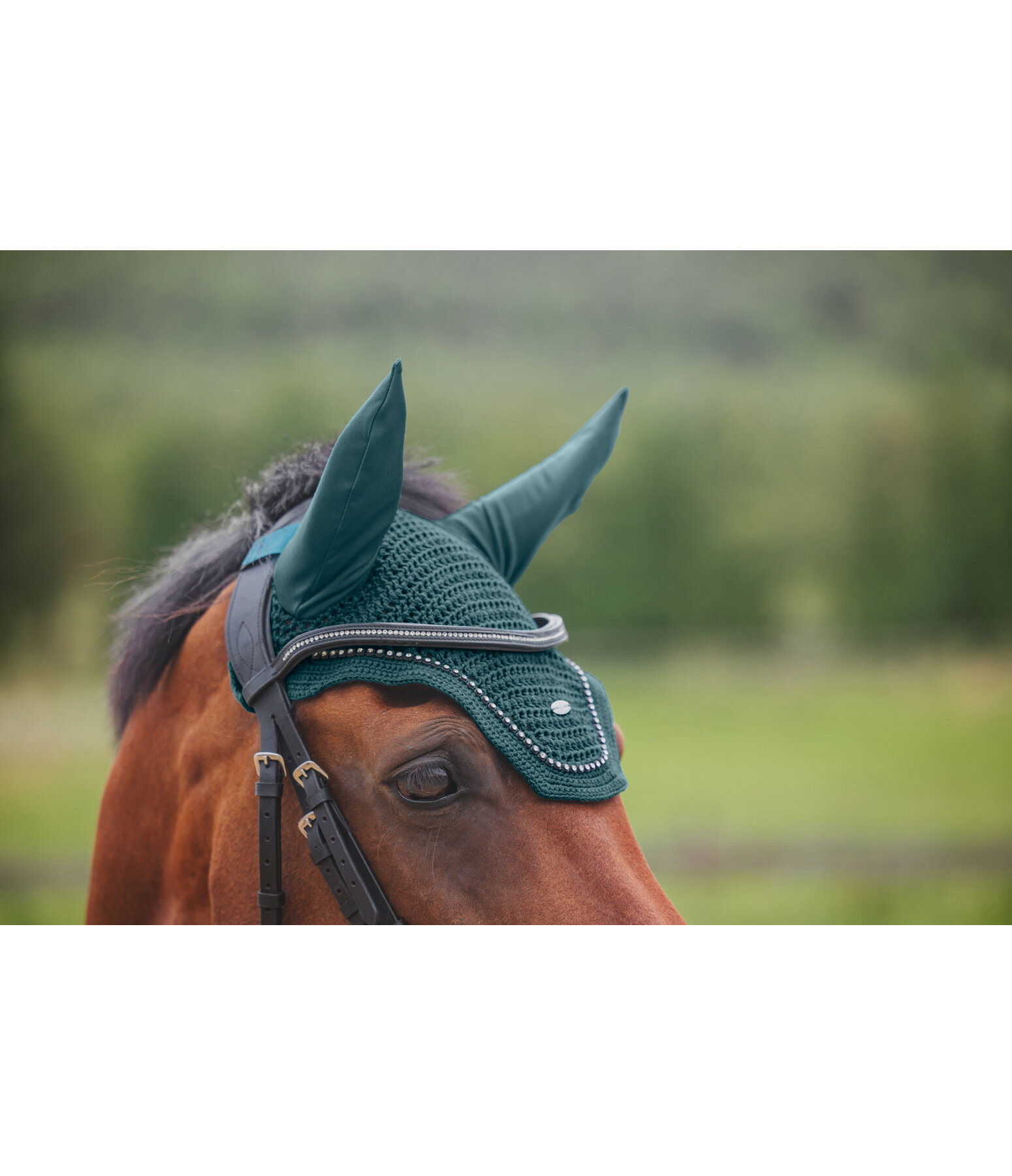 Fly Veil Brilliant
