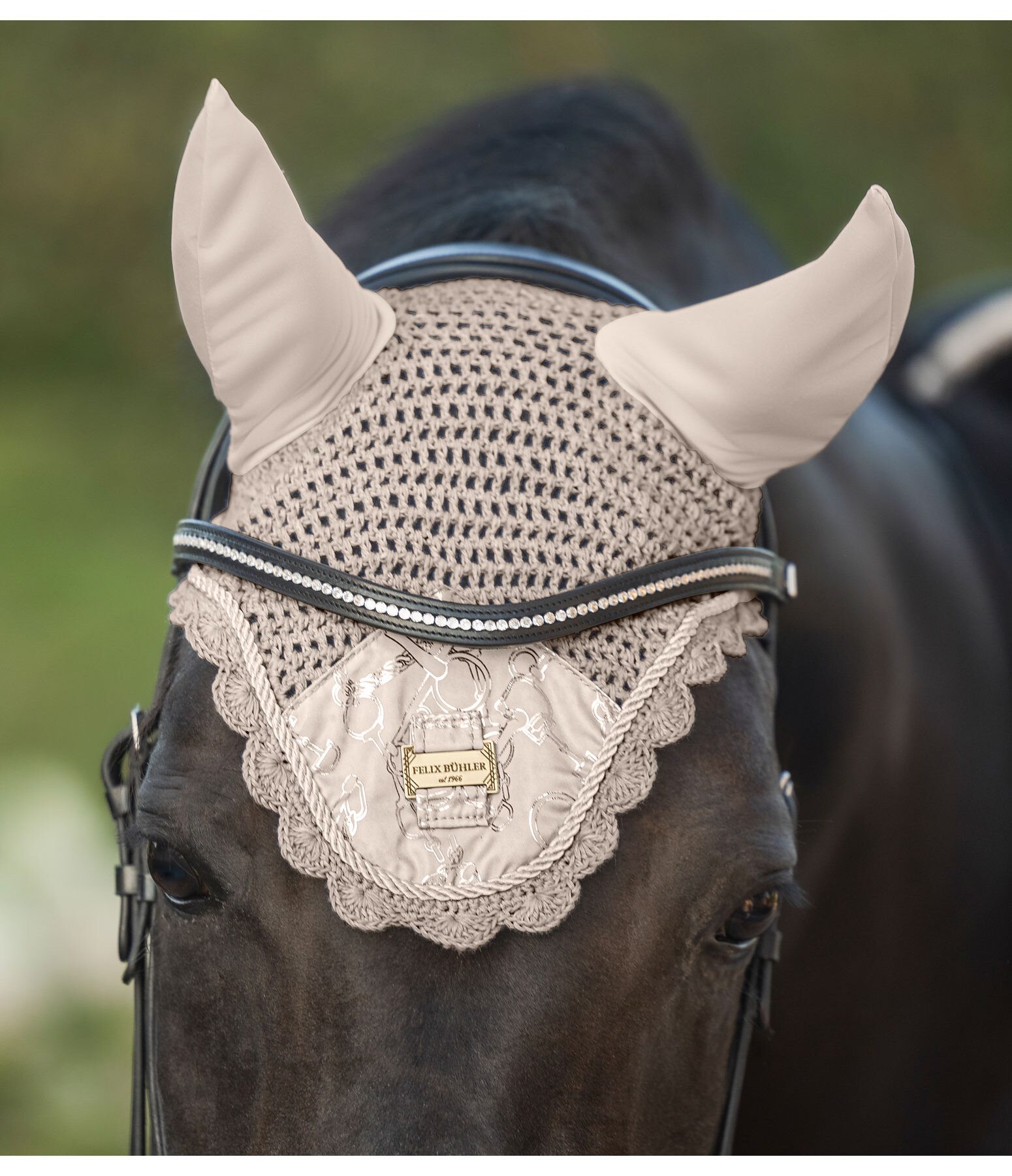 Fly Veil Signature