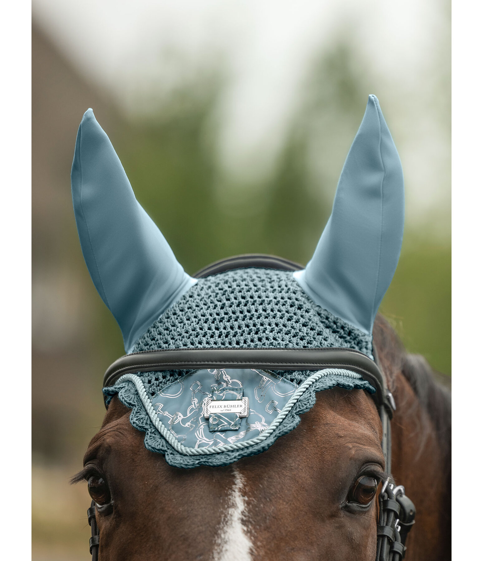 Fly Veil Signature
