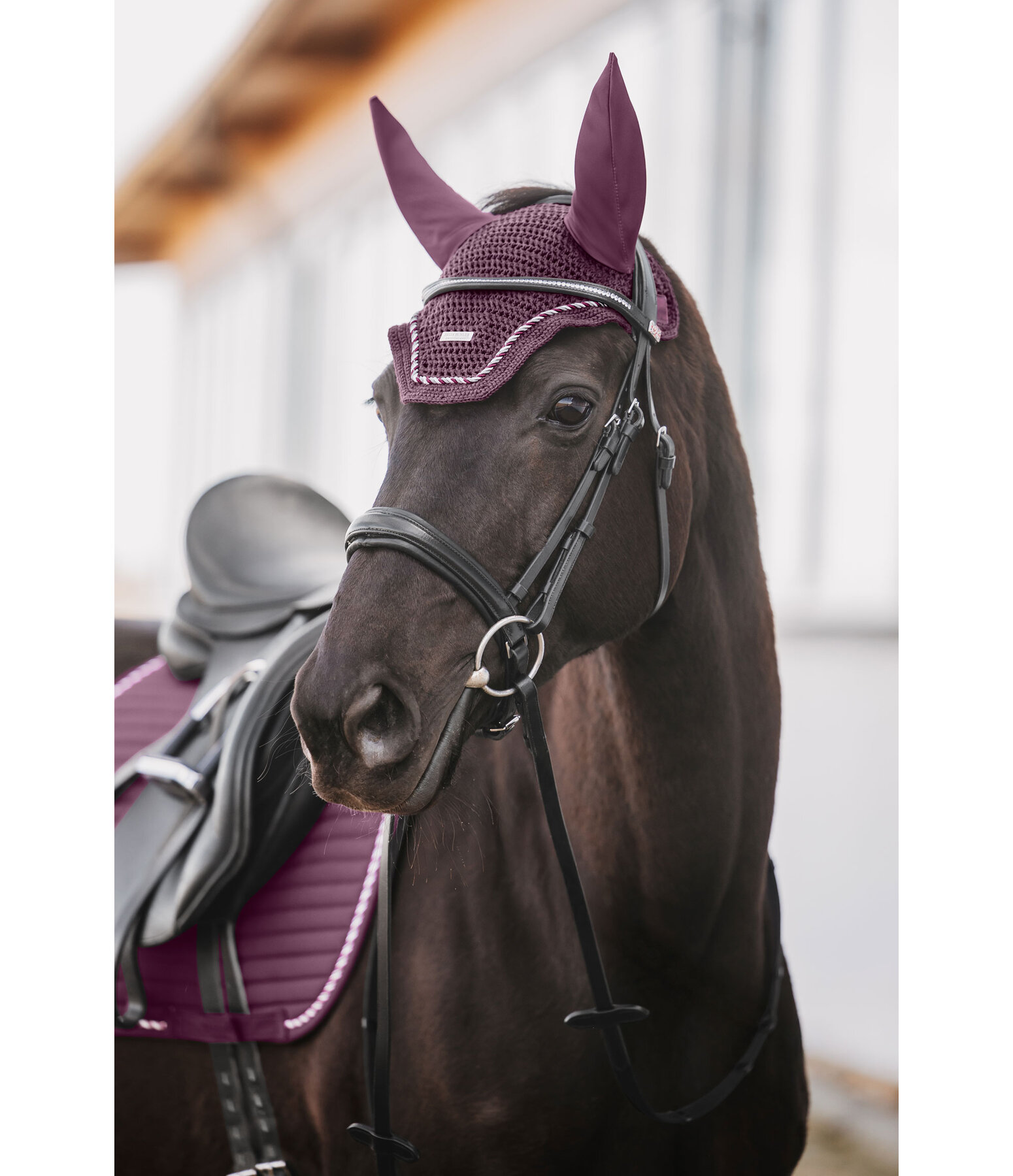 Fly Veil Sophistication