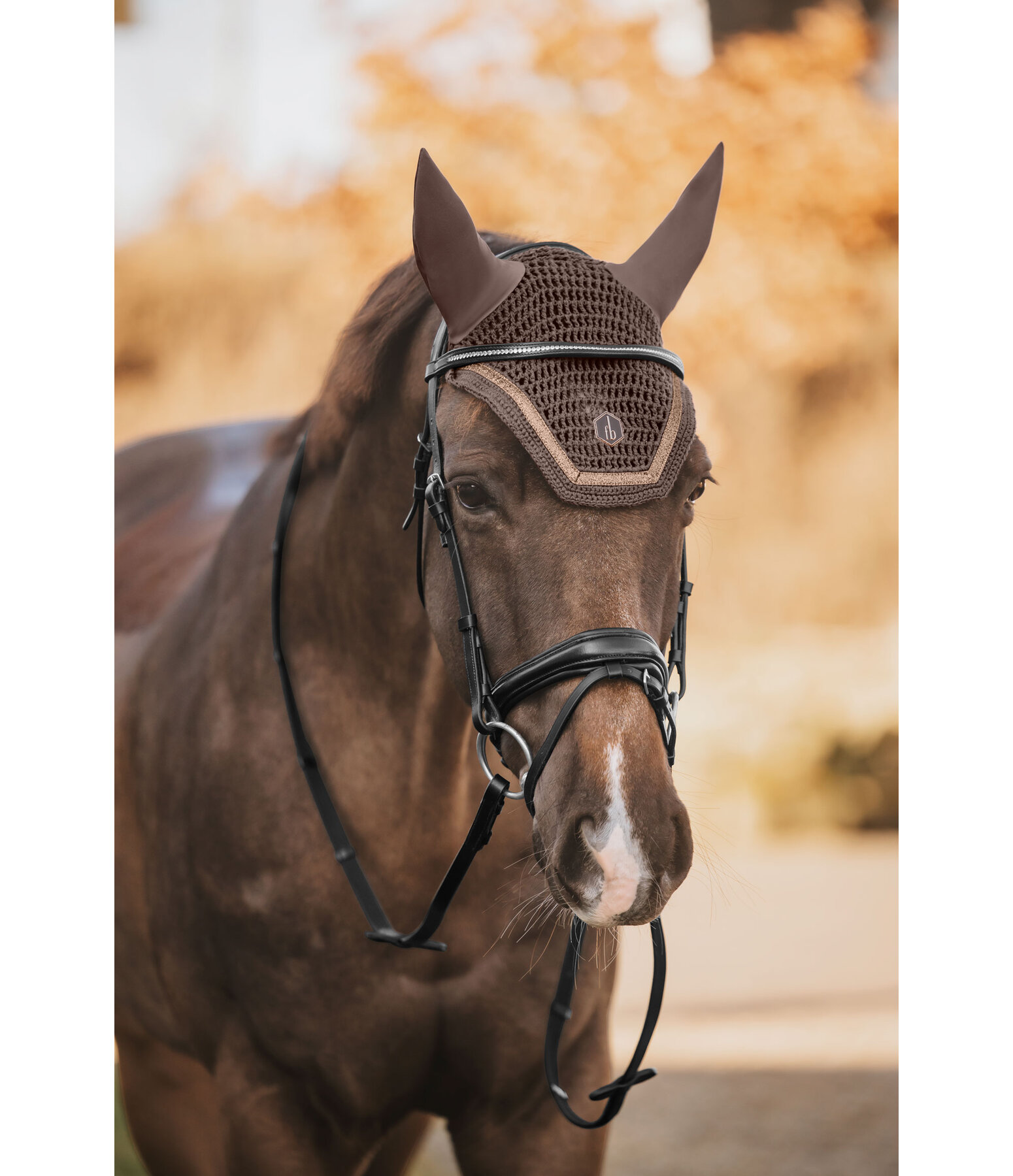 Fly Veil Glitter