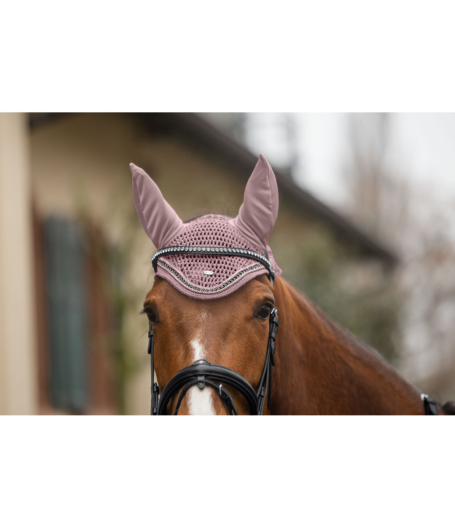 Fly Veil Twinkle
