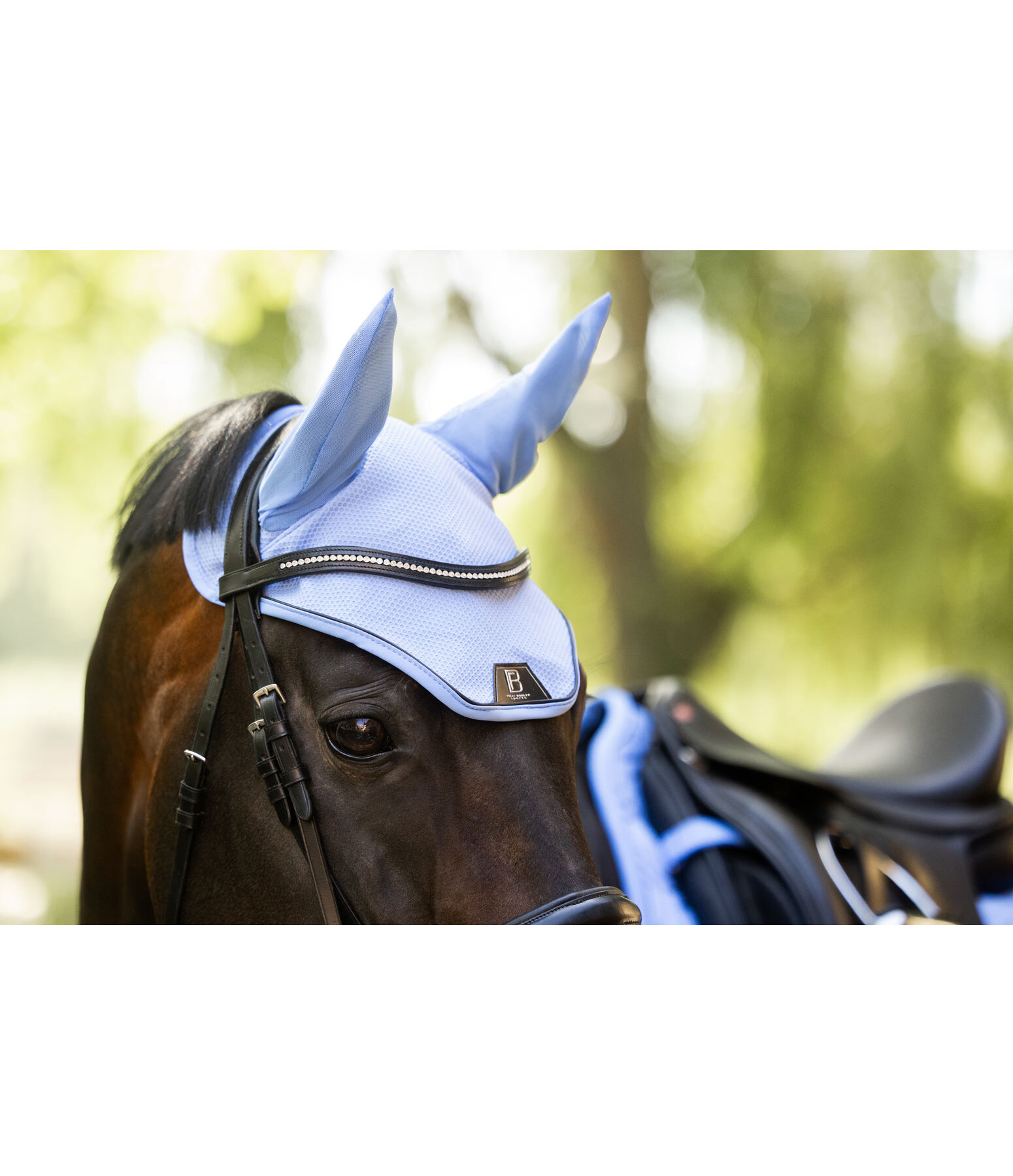 Fly Veil Mesh Technology