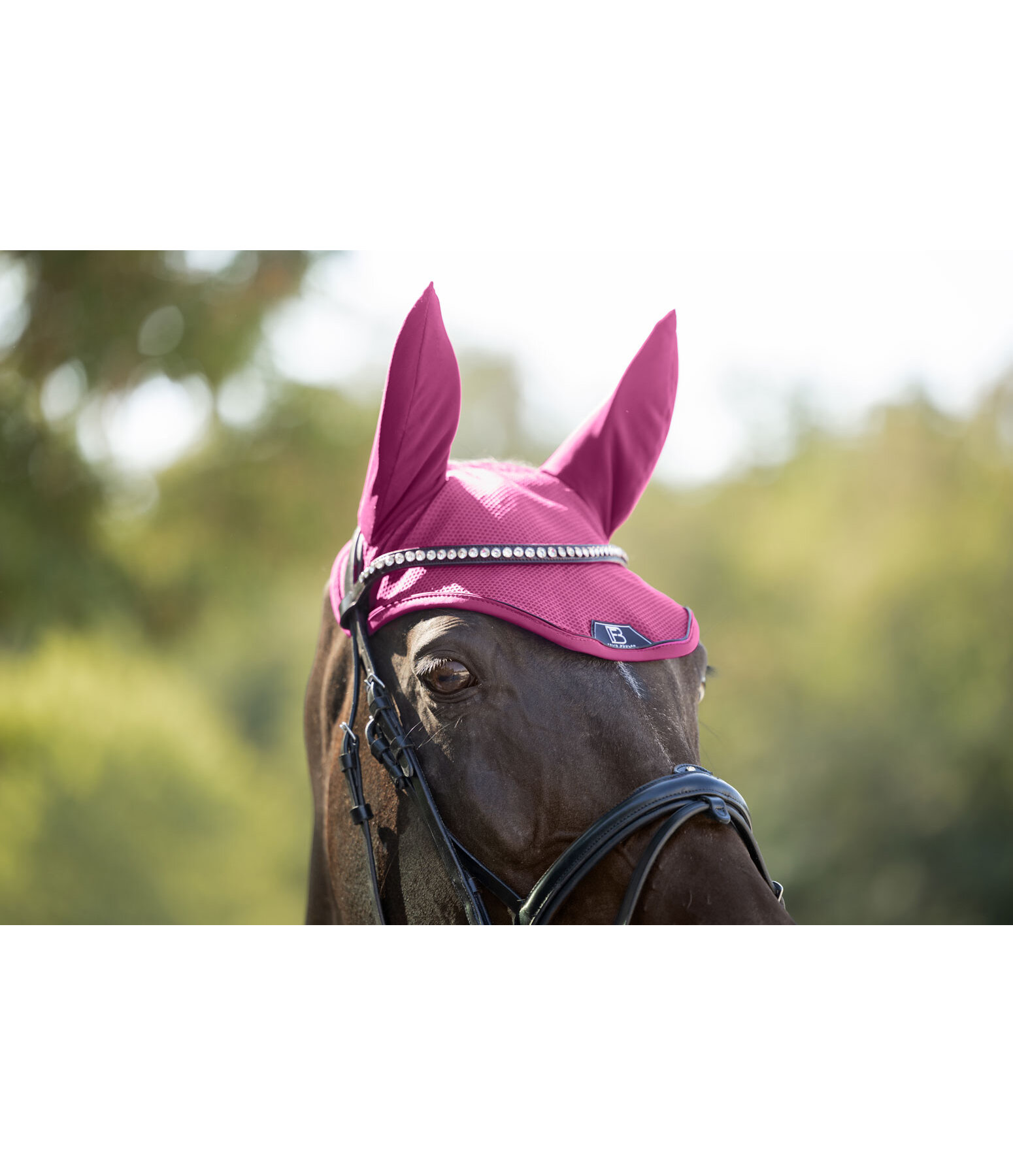 Fly Veil Mesh Technology