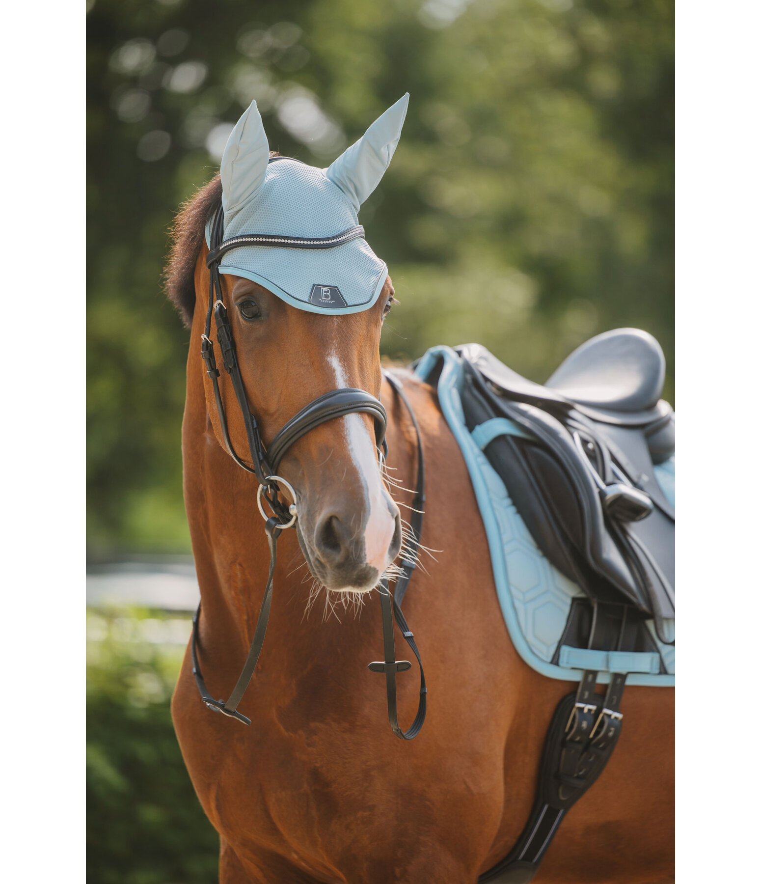 Fly Veil Mesh Technology